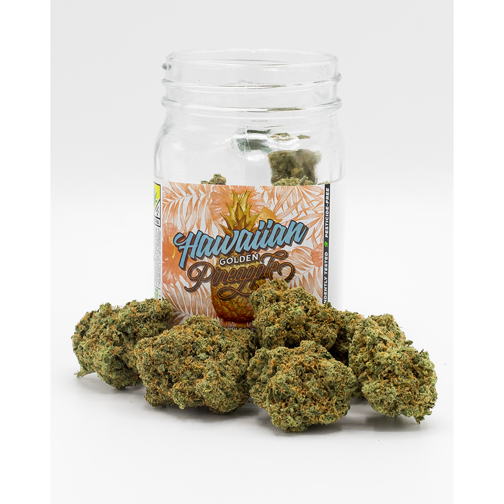 Hawaiian Golden Pineapple Phat Panda Core Flower Jane