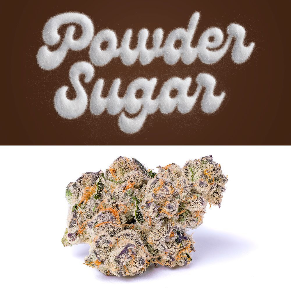 Powder Sugar