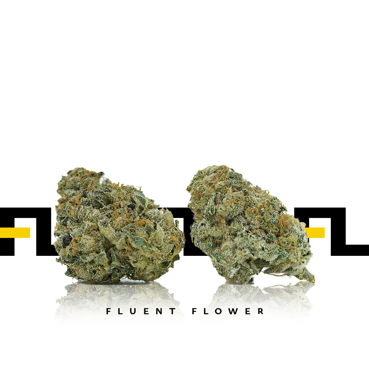 Garlic Budder FLUENT Flower Hybrid Indica Jane