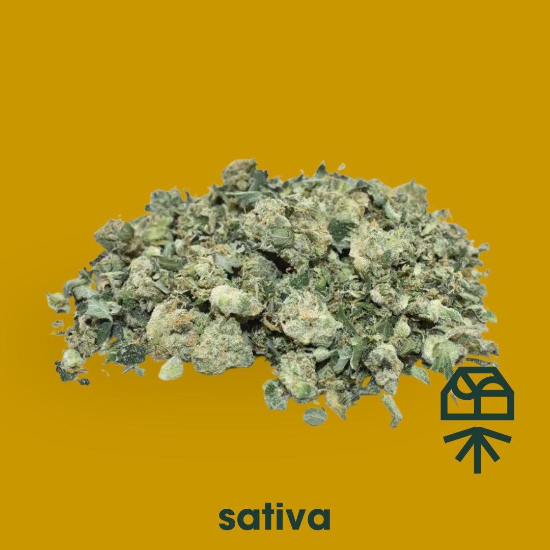 43b414a4-1e72-4b21-89c0-