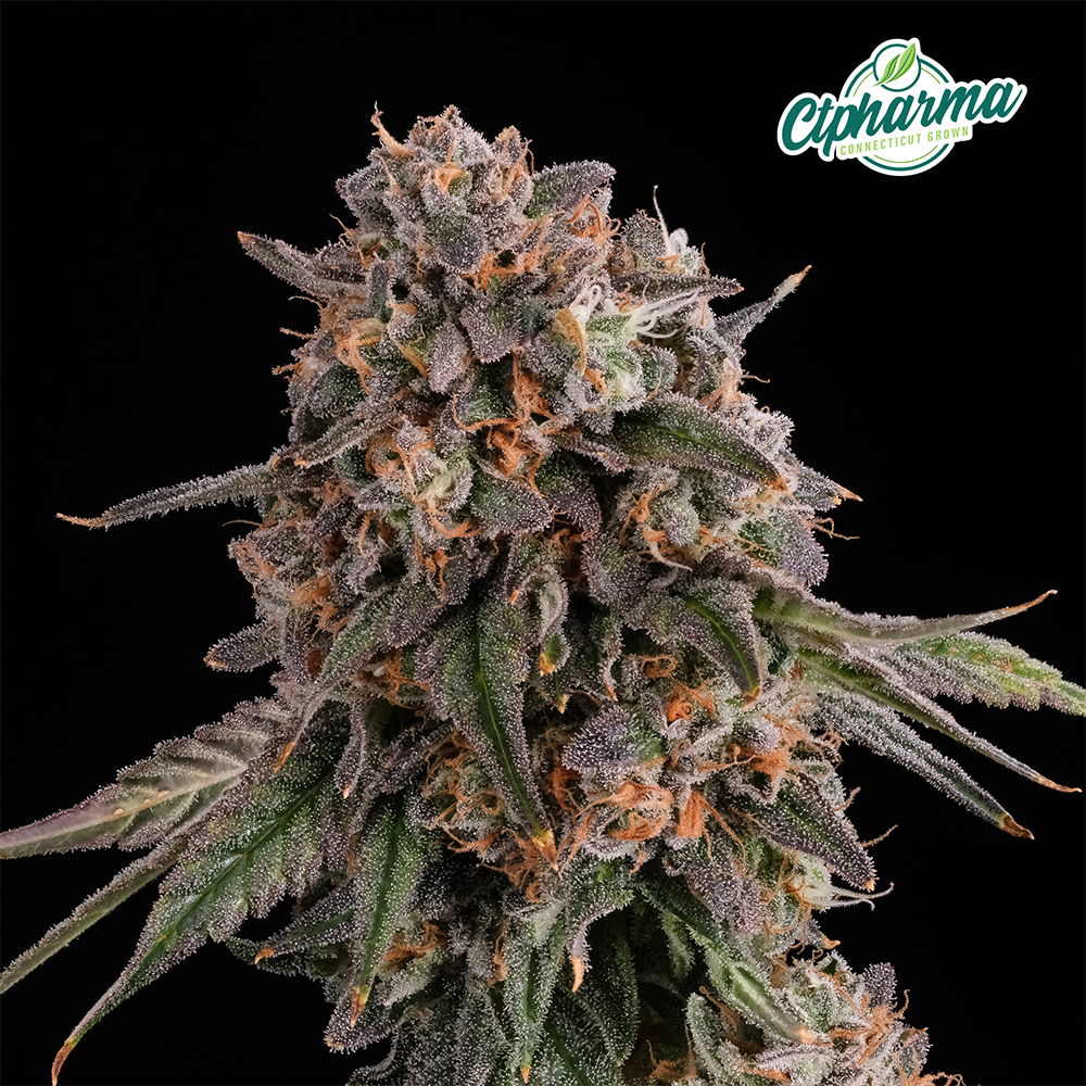 Full Tank Flower | T23.05 | Terps 1.83 | H | 26440 | 3.5g