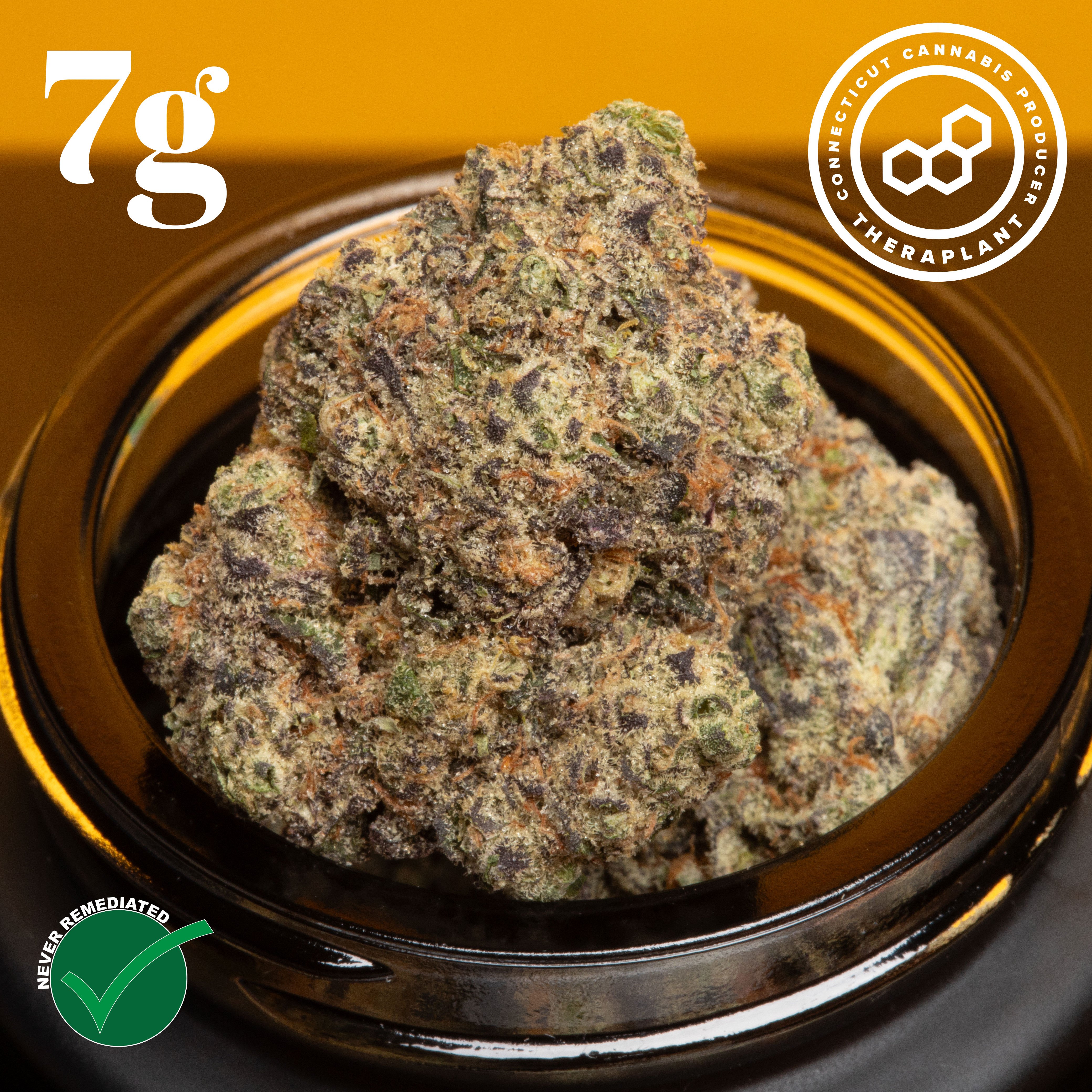 Theraplant - SBC (S) Flower  C0040001190