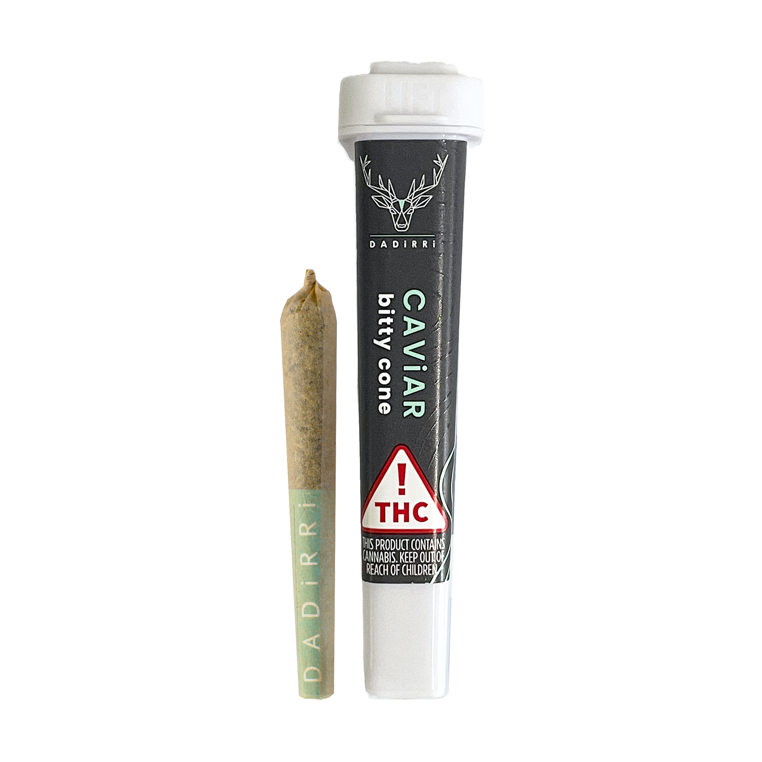 Apricot Scone [.5g]
