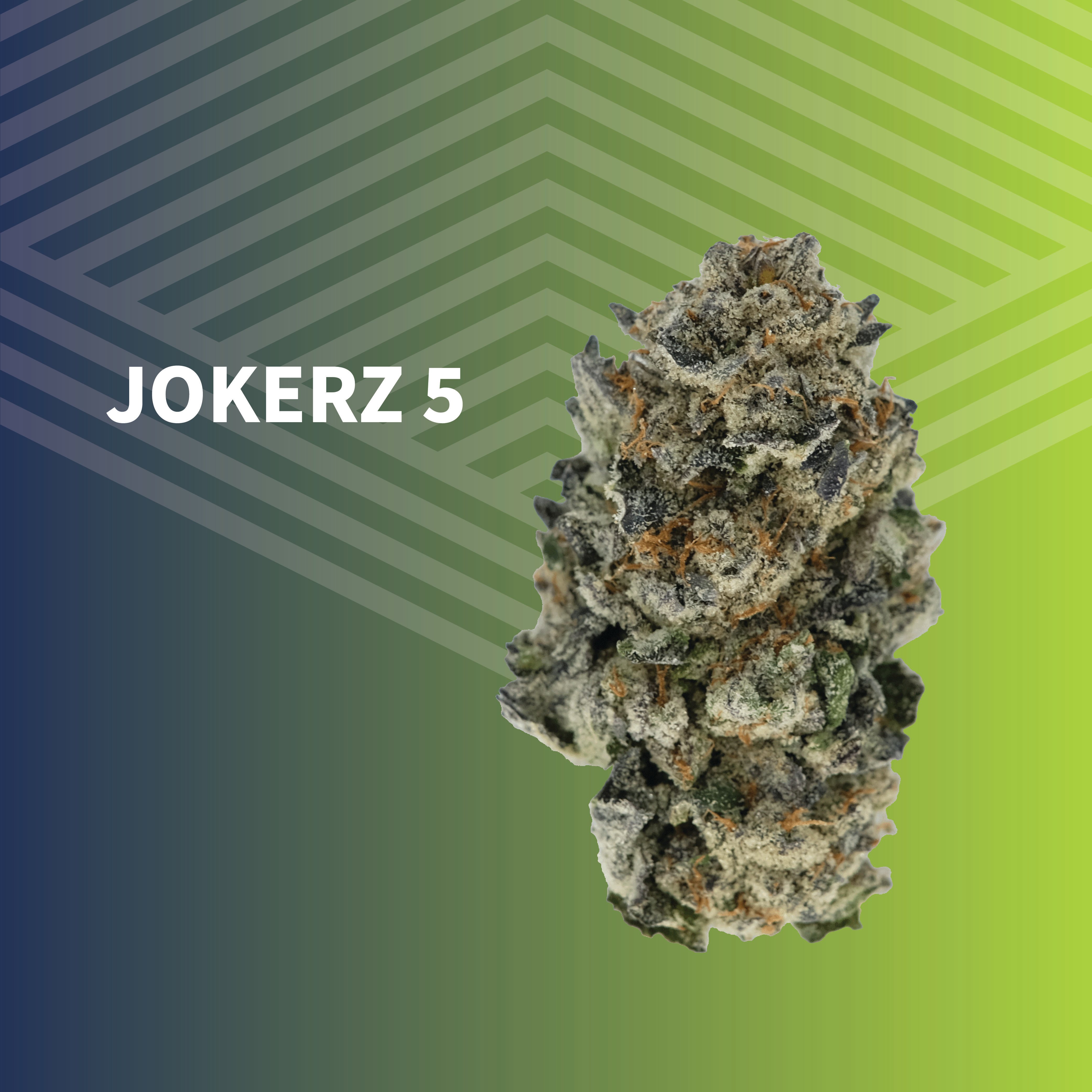 Jokerz 5 - 1/8oz in Williston