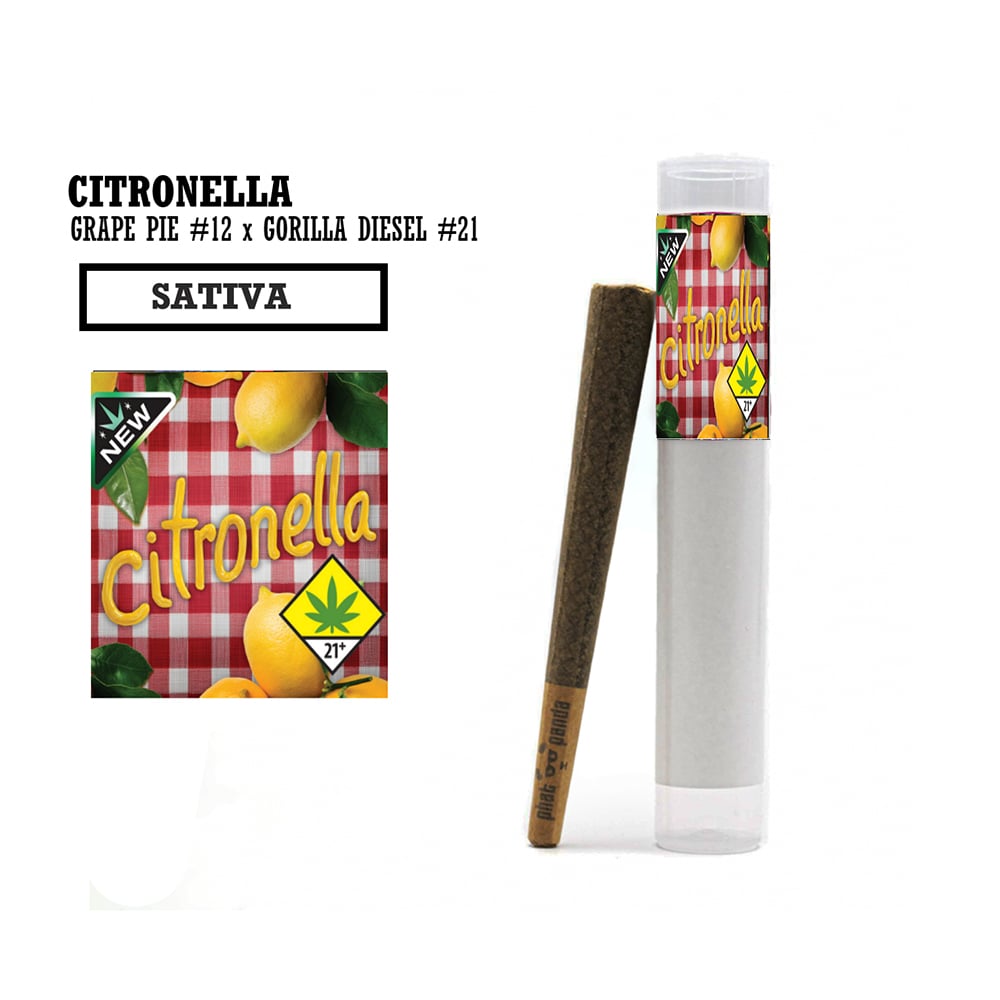Citronella [1g]