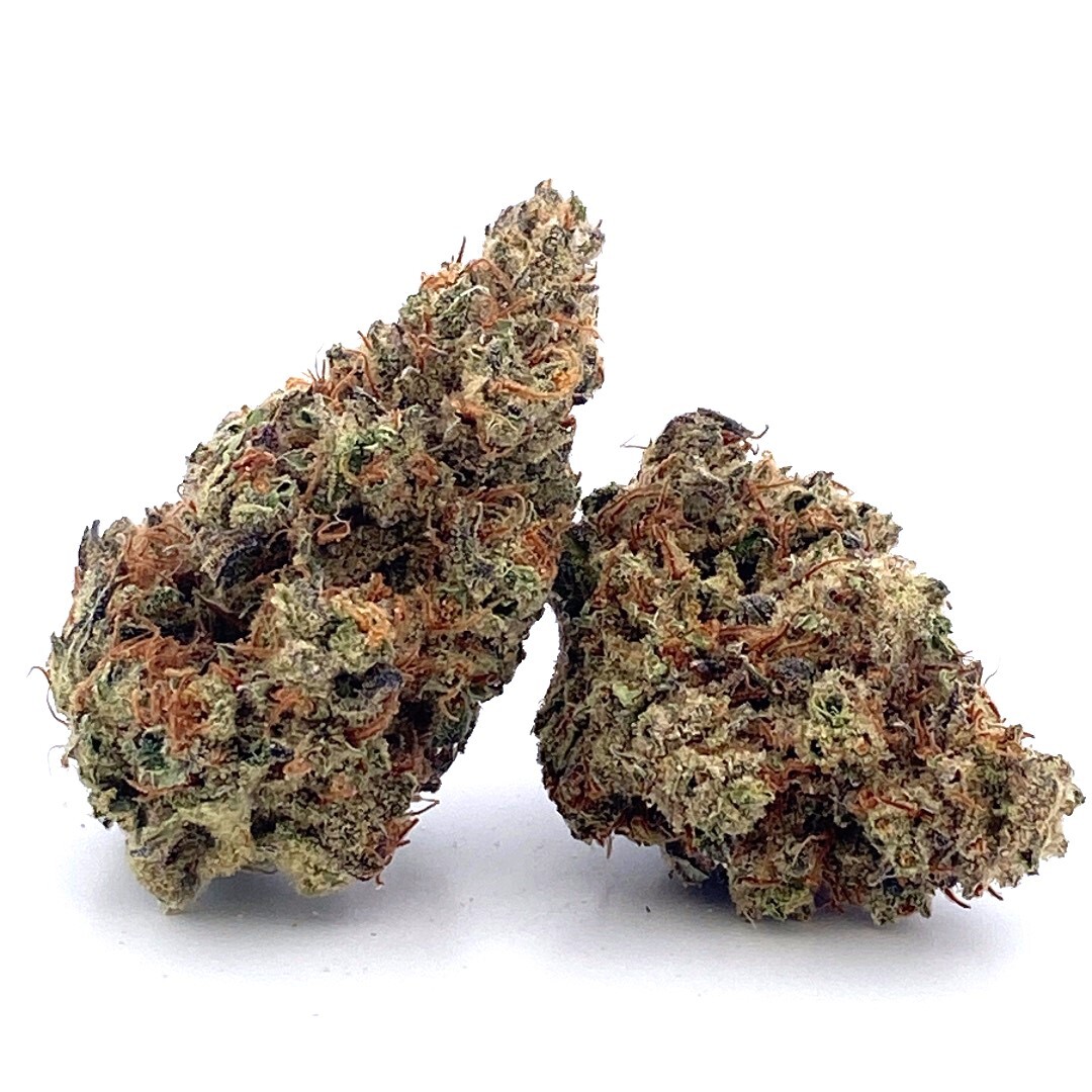◆ mimosa Zaza Flower - Mimosa - Sativa – Zaza Fun