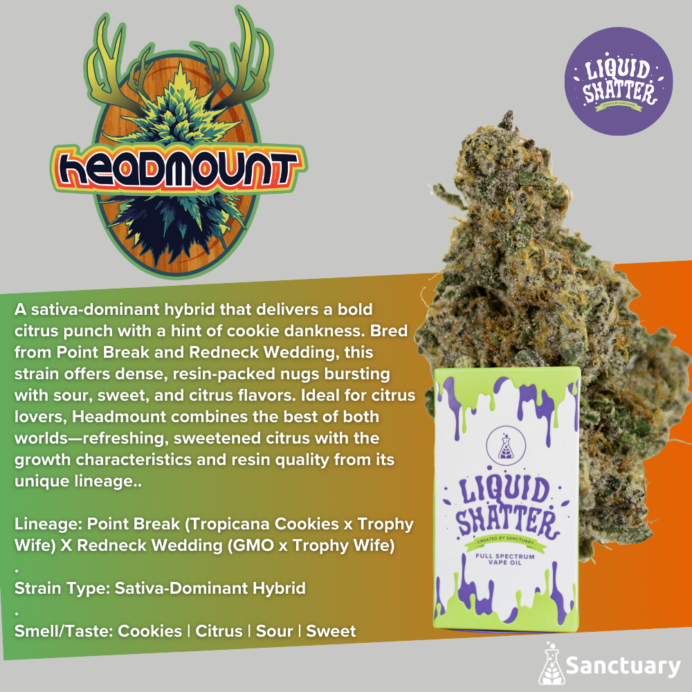 Liquid Shatter - Headmount