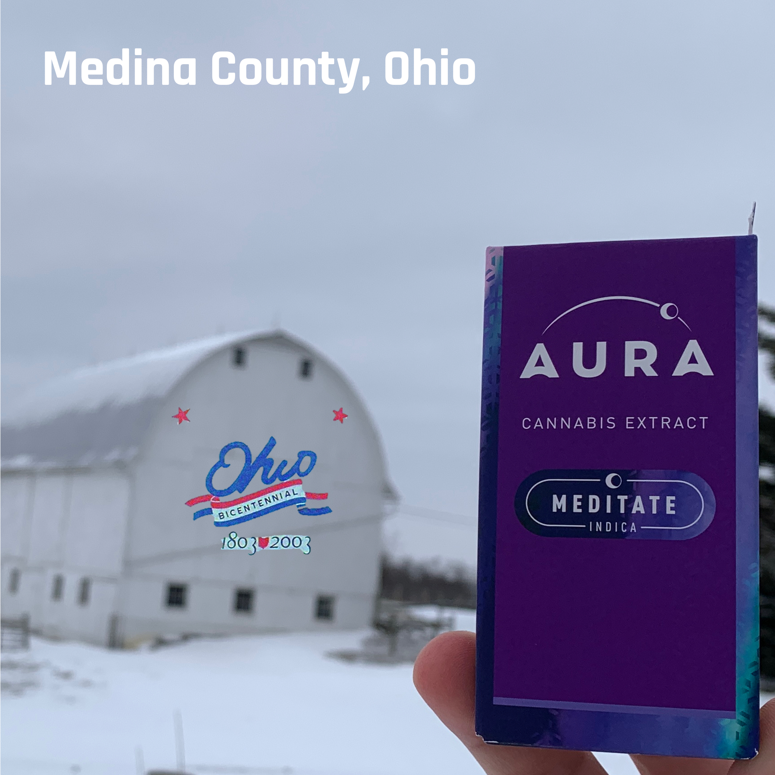 Shop Northern Lights + CBN Disposable Vape (1-Day) [1.0g