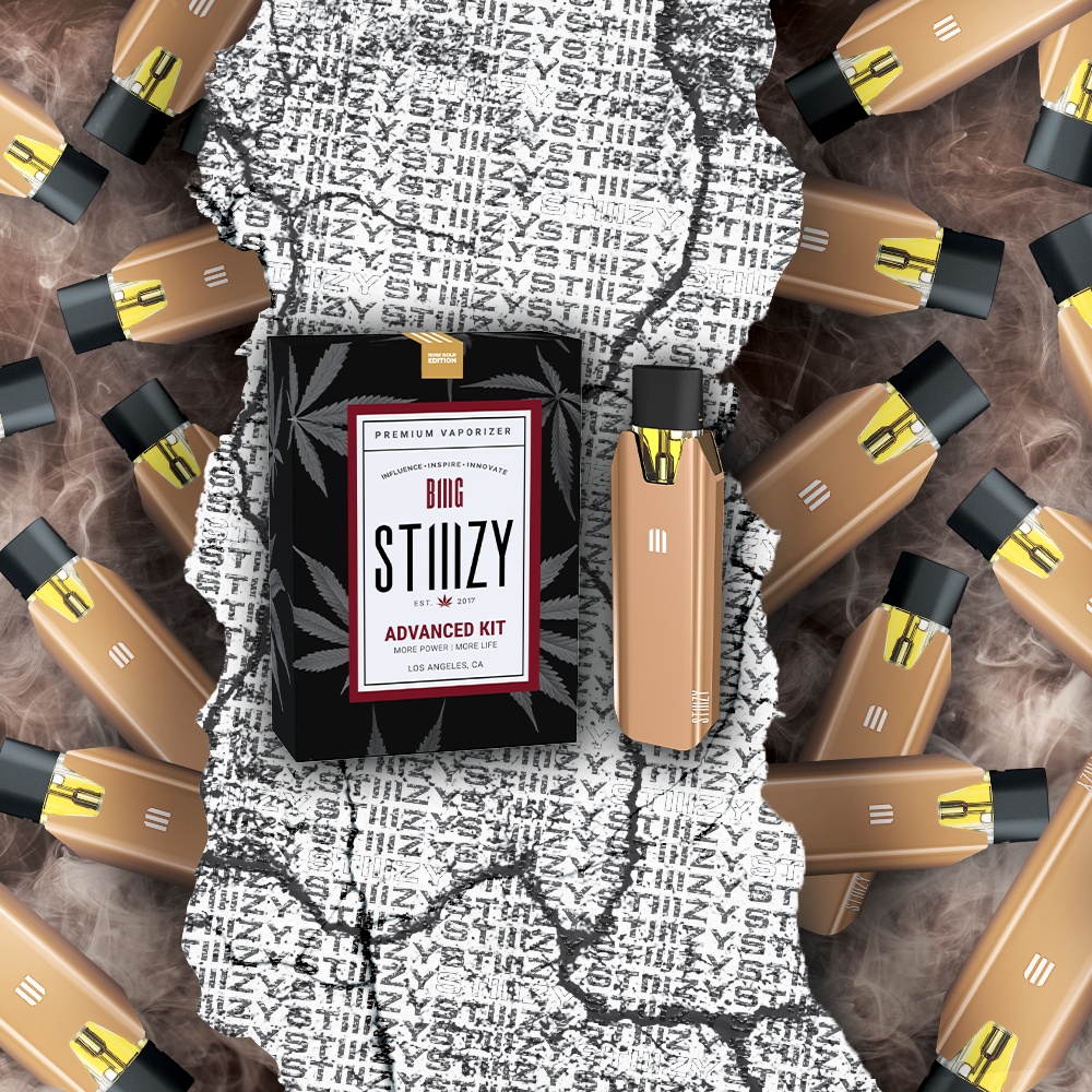 STIIIZY BIIIG Starter Kit - Rose