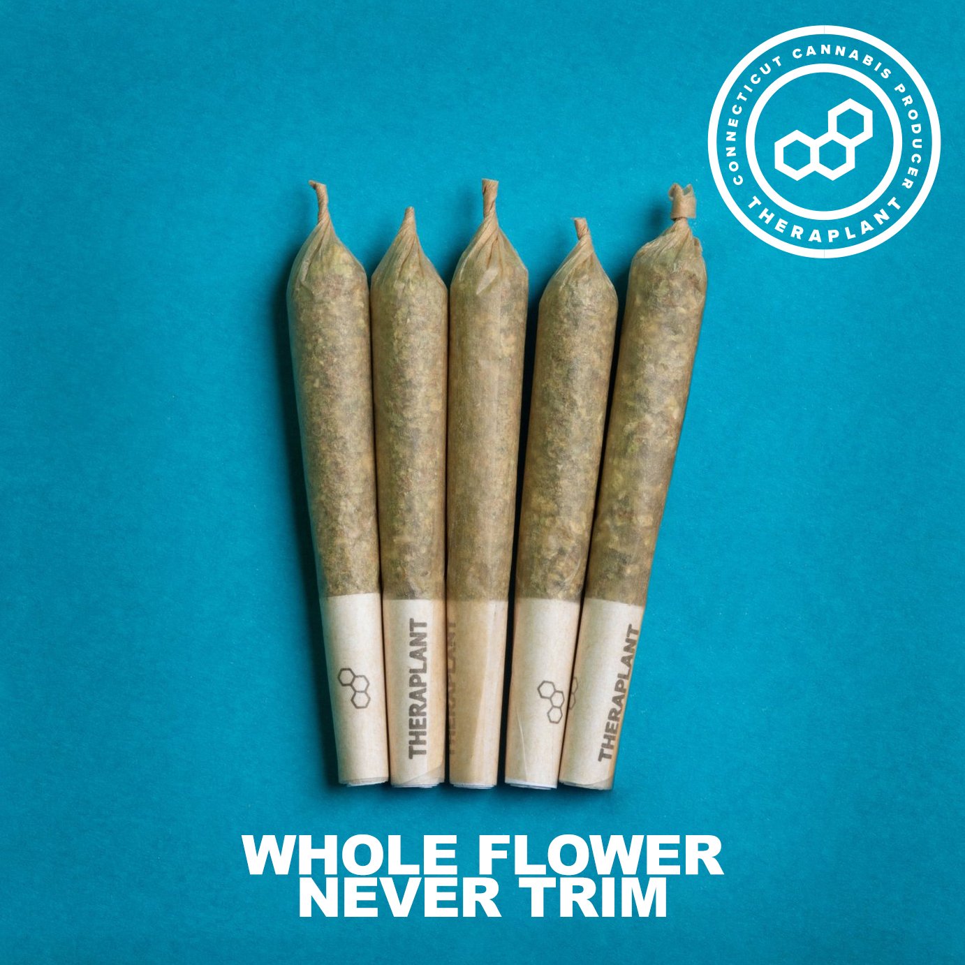 Theraplant - Purple Push P (I) 0.4g Pre-Rolls 5pk (2g) C0040000964