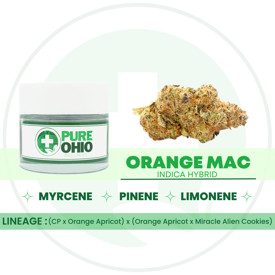 Shop Orange MAC [2.83g] | Jane