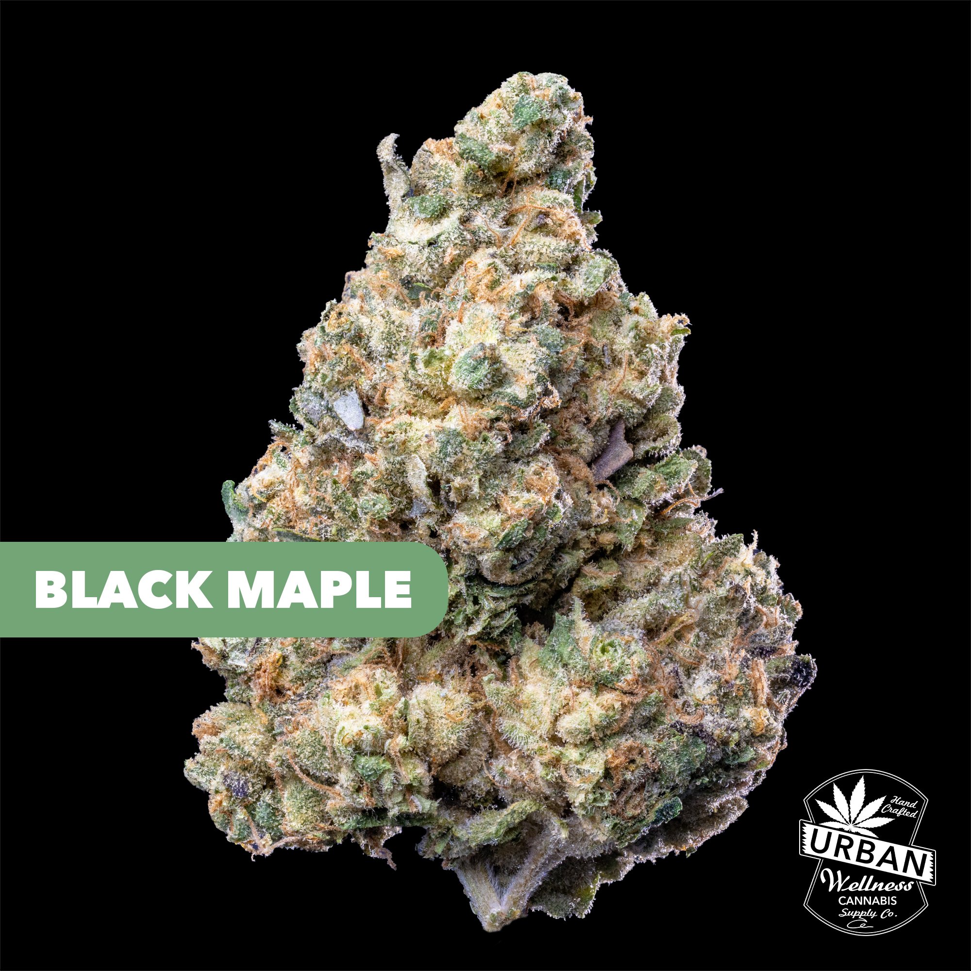 Shop Blue Zushi | Urban Wellness - 98th Dispensary Albuquerque, NM