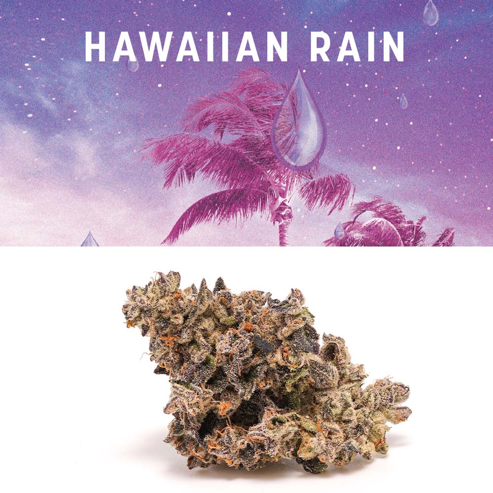 Hawaiian Rain