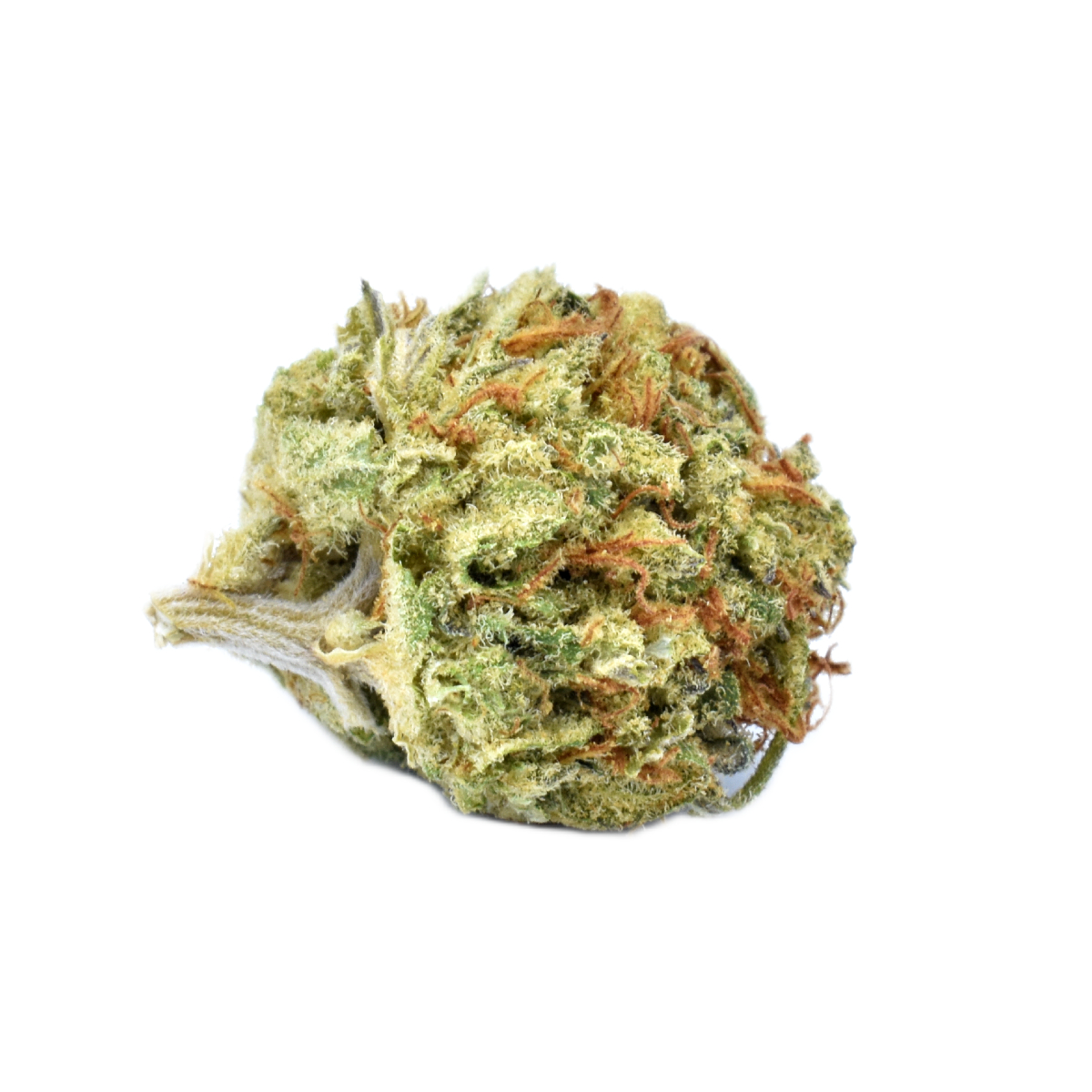 Orange Durban