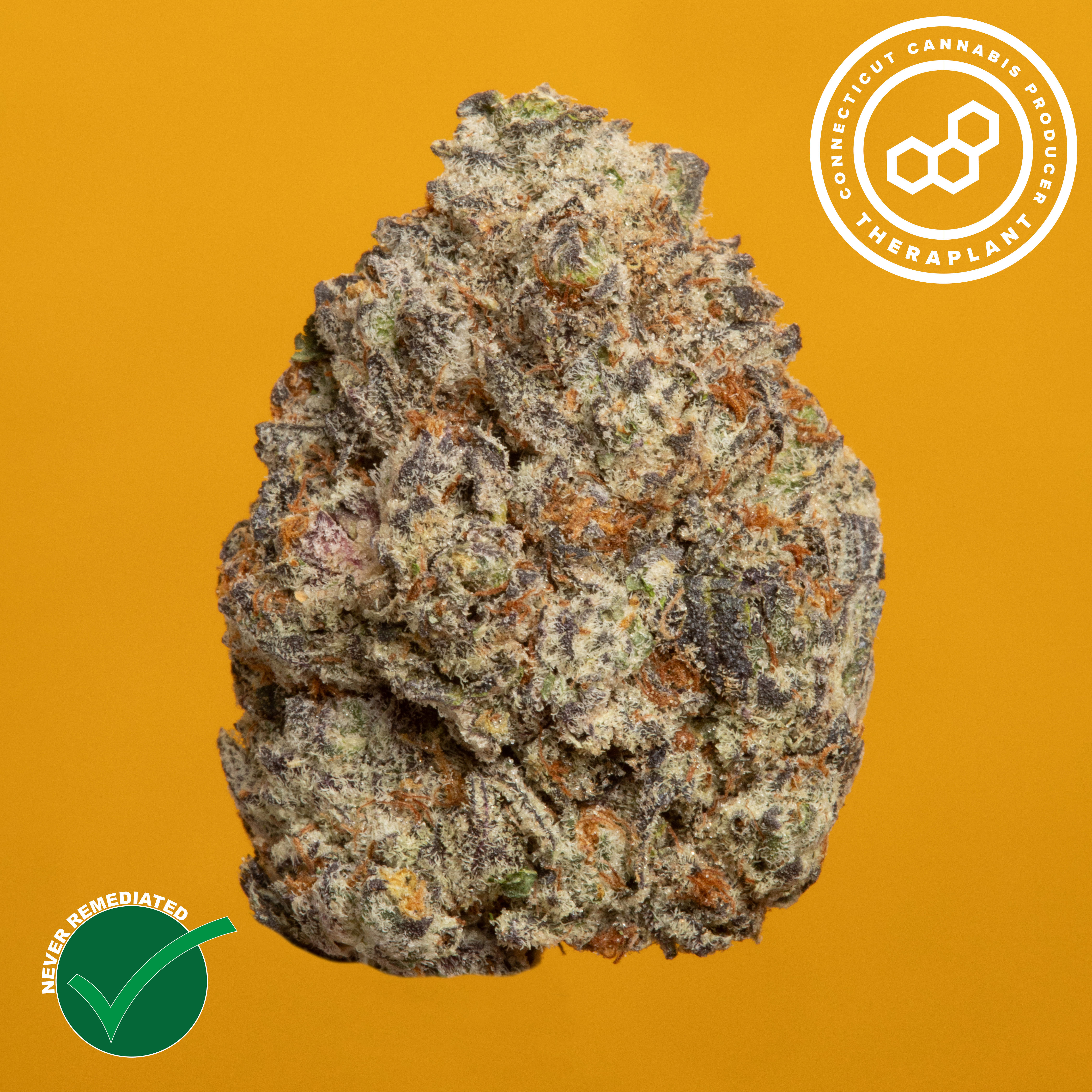 Theraplant - Strawberry Cndy (S) Flower  C0040001243