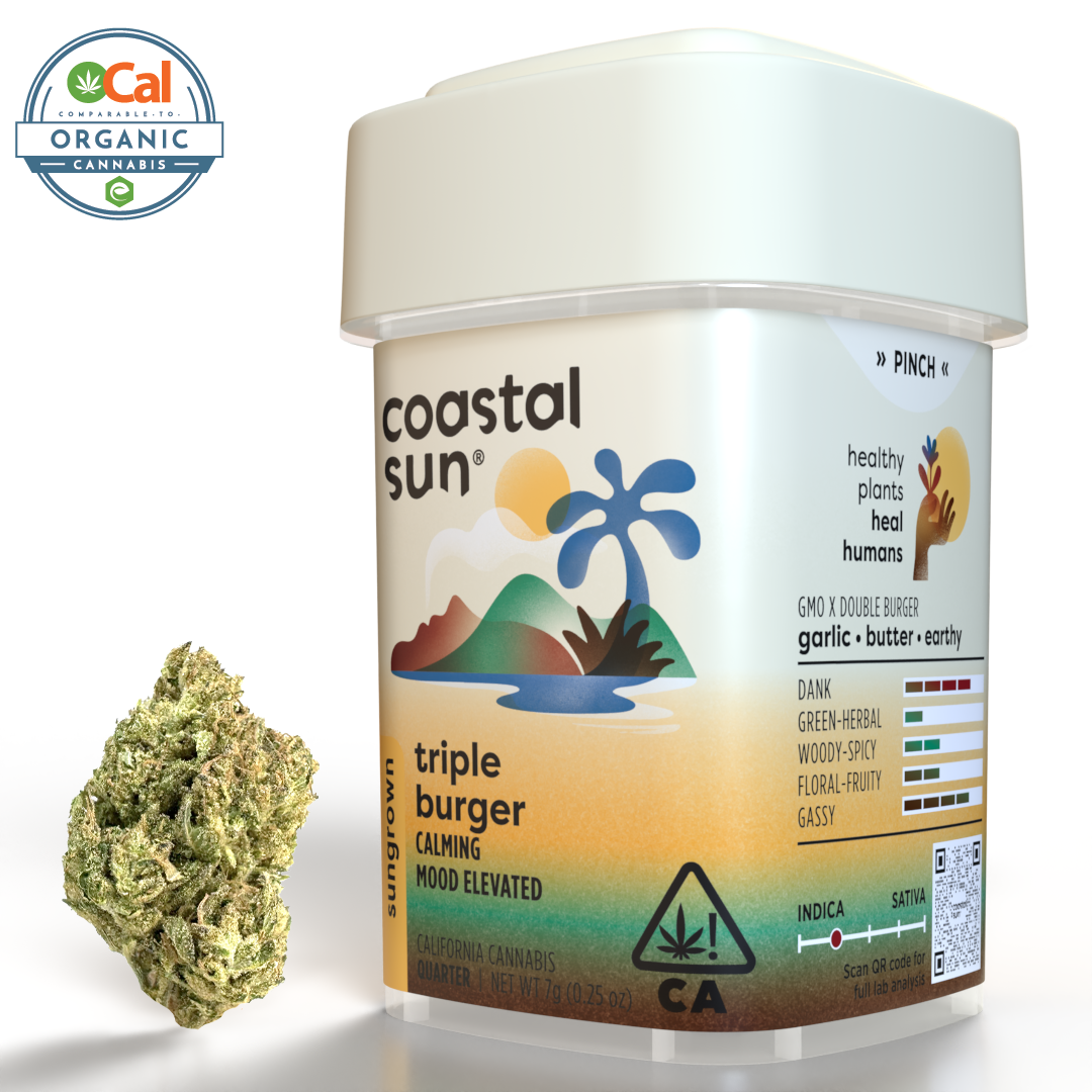 Triple Burger Triple Burger