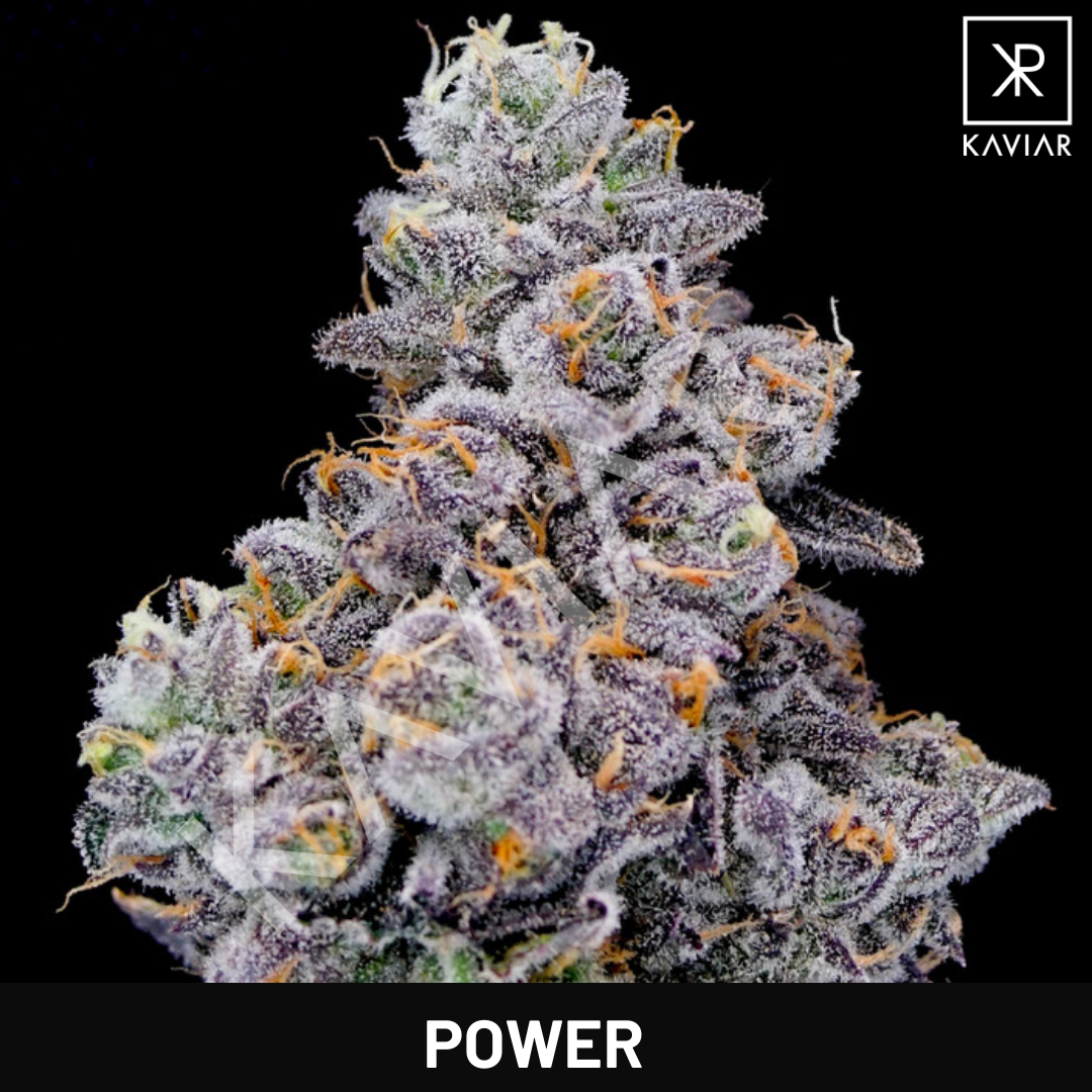 Power