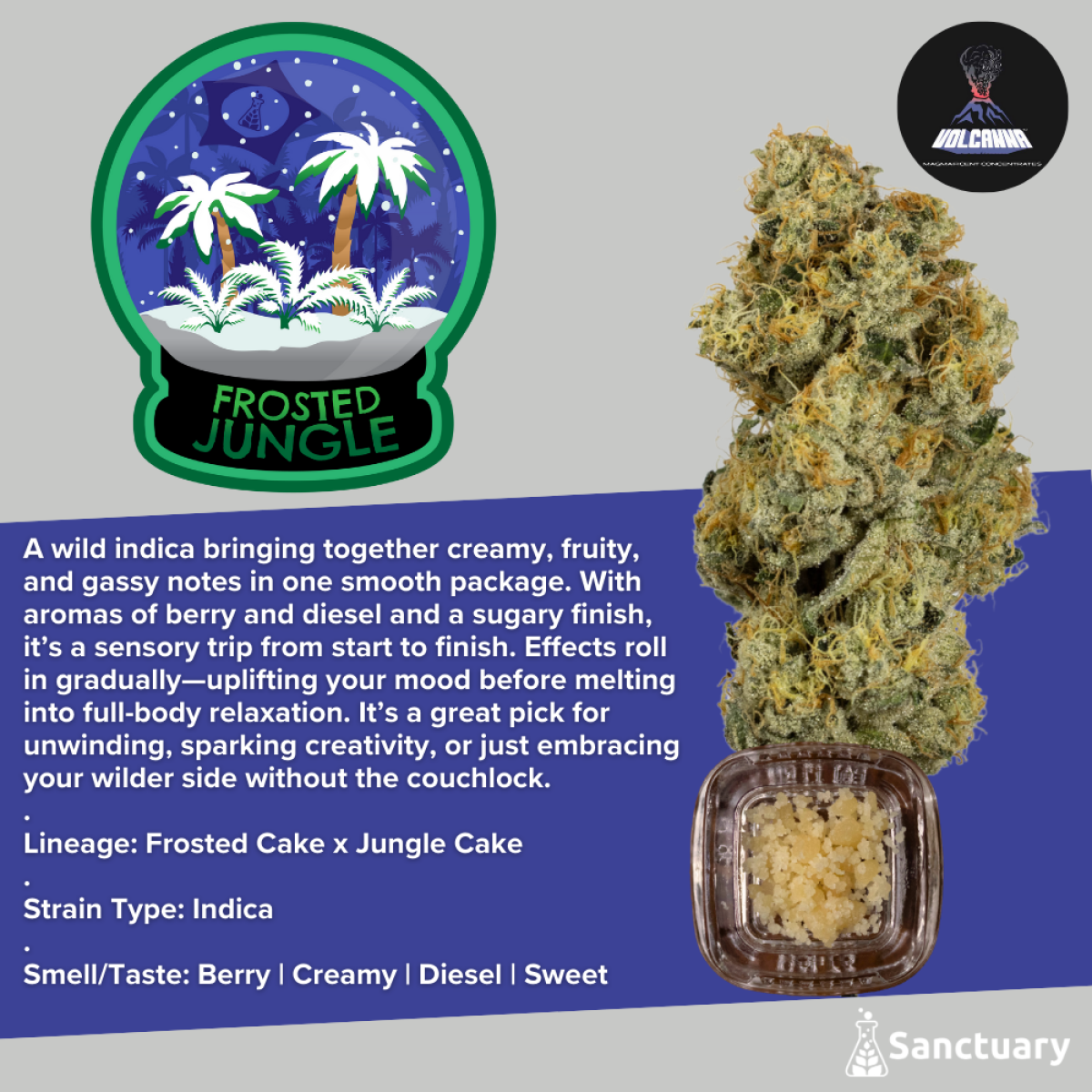 Crumble Baller Jar Frosted Jungle