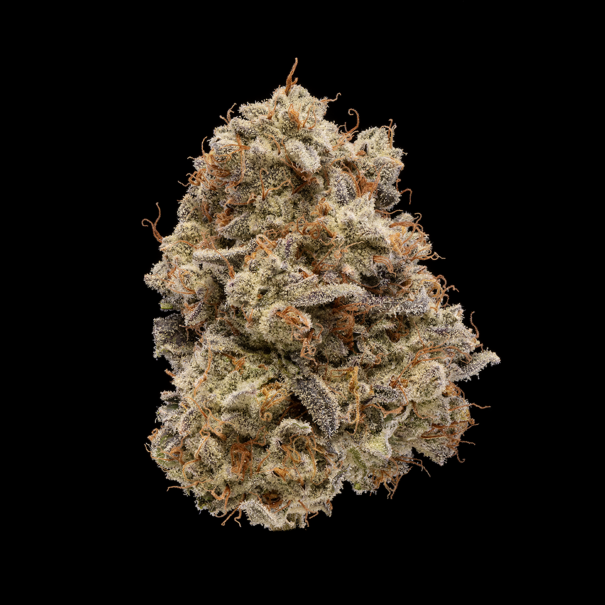 Glacee Blanche