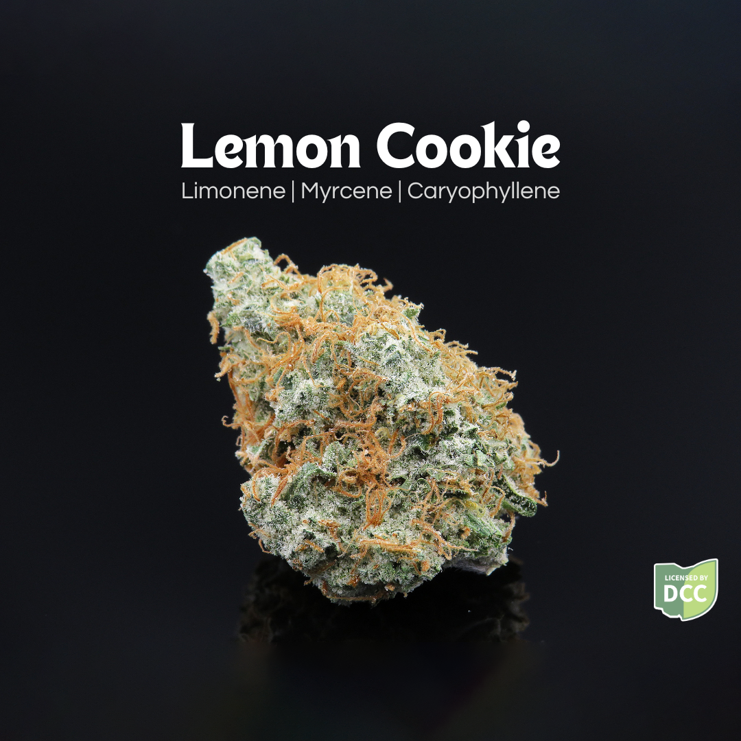 flowerシンギングリン宇宙⑤ Diesel Cookies THCa Flower – Indoor Hydro | 28.1% Cannabinoids