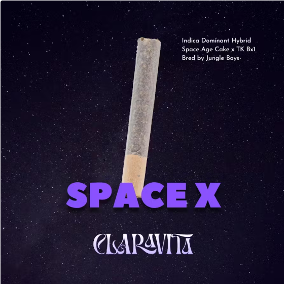 1g - Space X