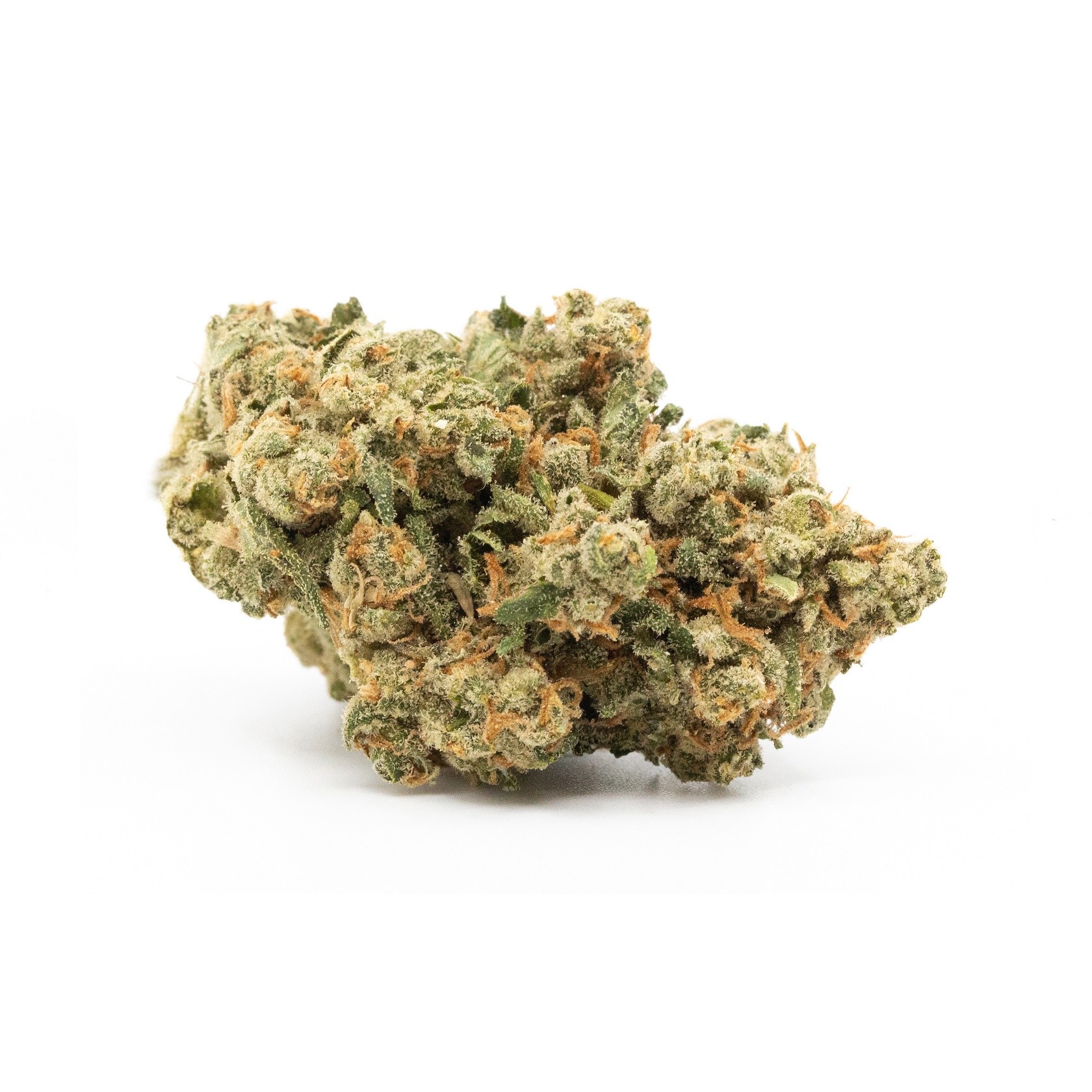 Jack Herer | Urbn Leaf