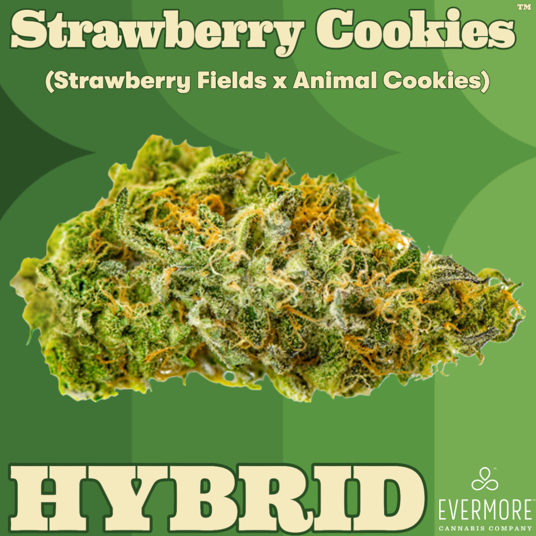 Strawberry Cookies Evermore Cannabis Company Jane