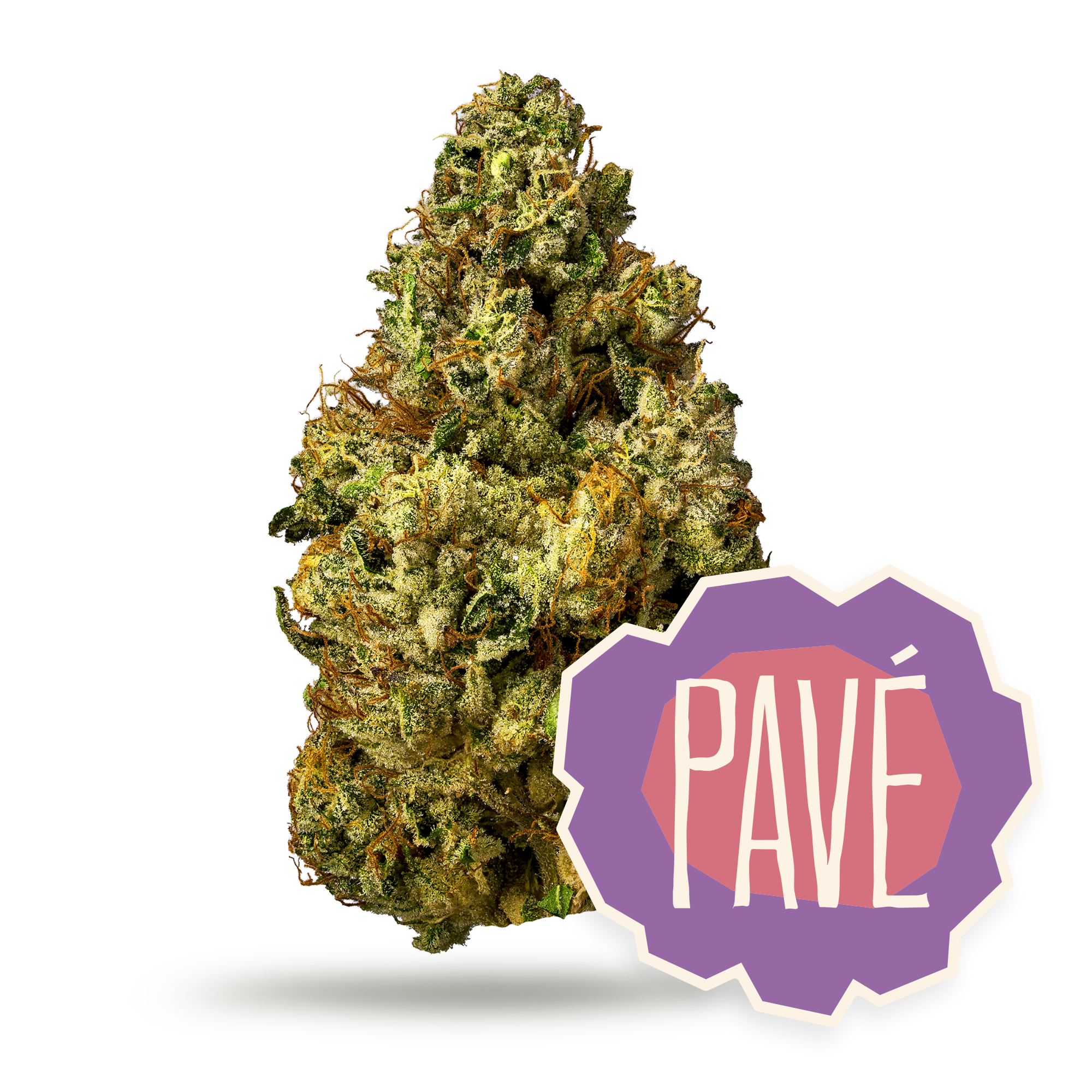 Pavé