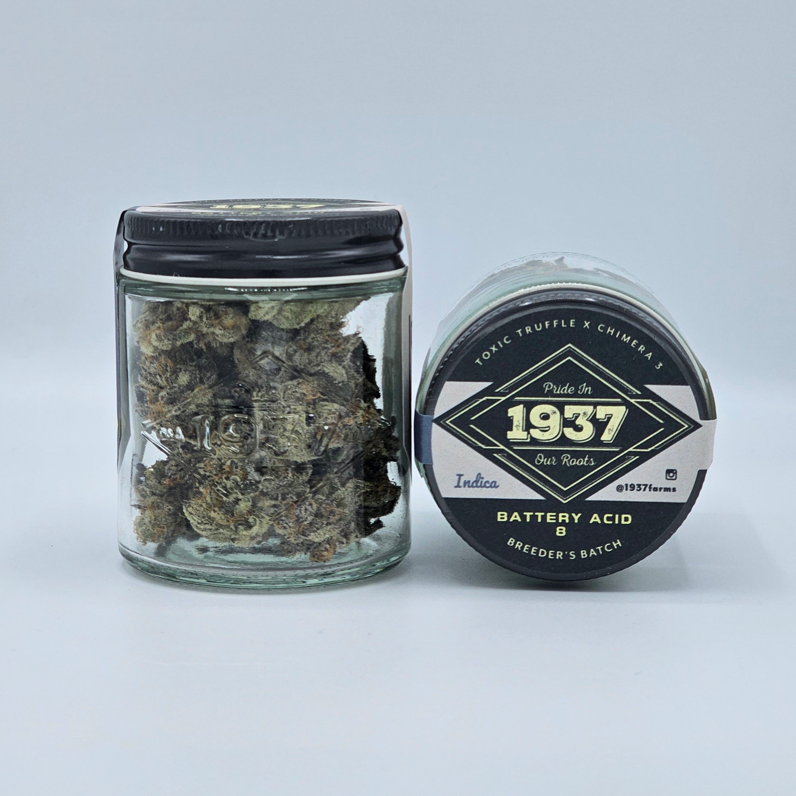 White Truffle BX1