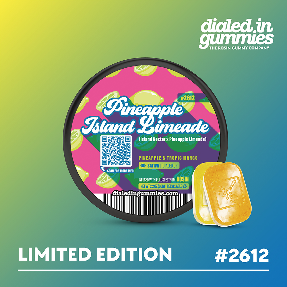 100mg - Pineapple Island Limeade - Rosin Gummies (10pk)