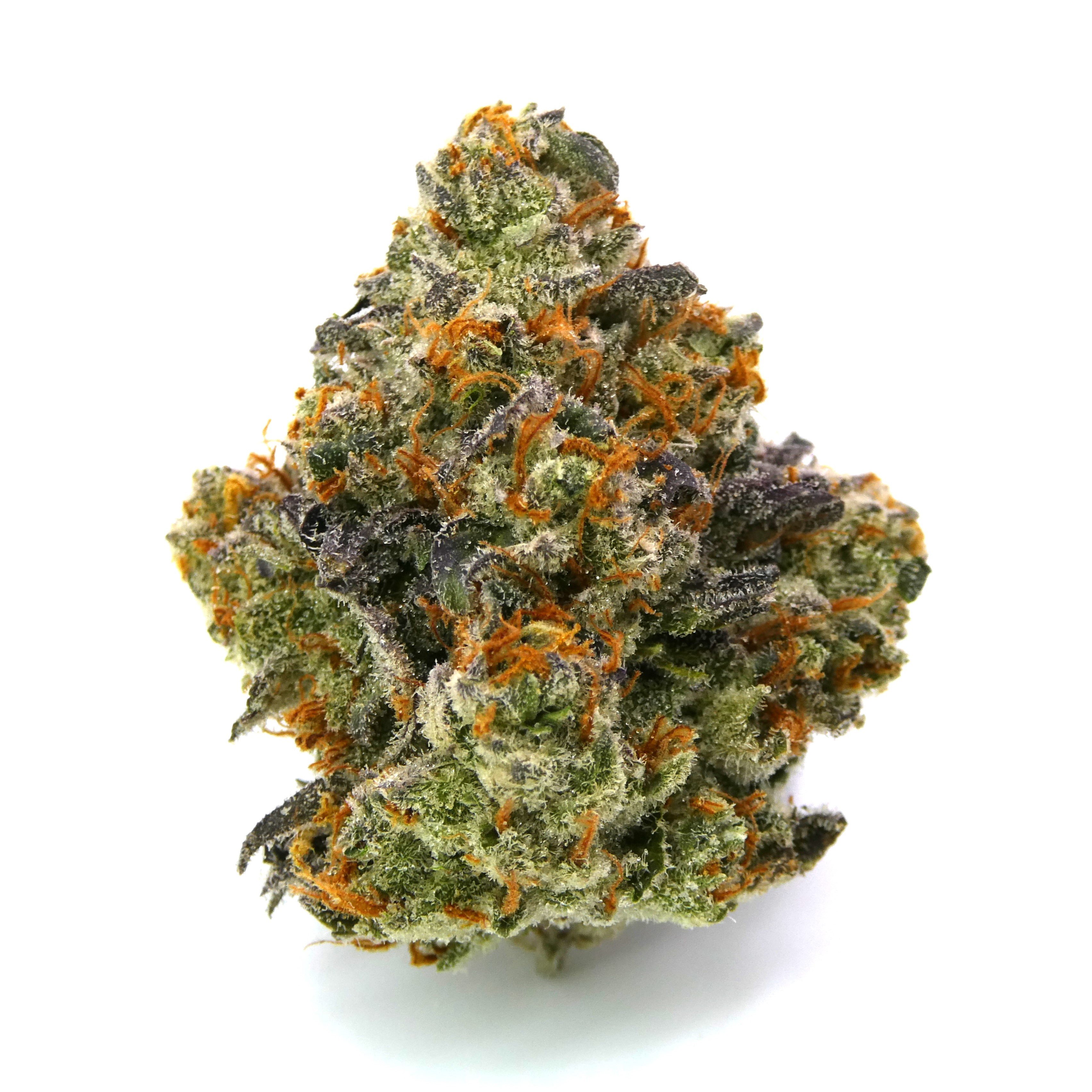 Dragon OG