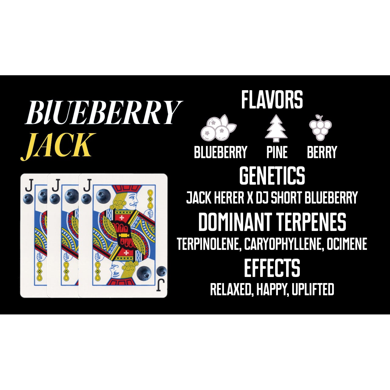 Blueberry Jack [.5g]
