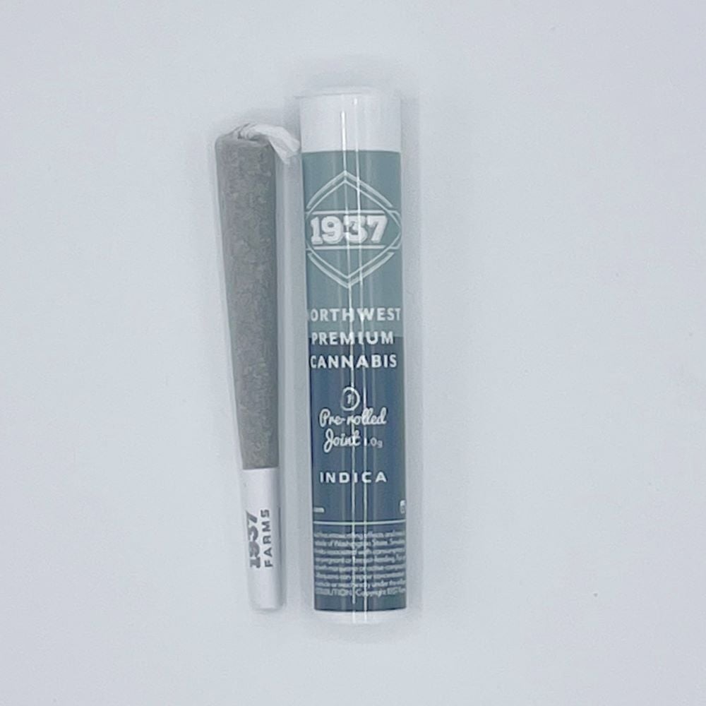 Ice Cream Cake x Runtz [1g] 1937 Farms Pre Roll Jane