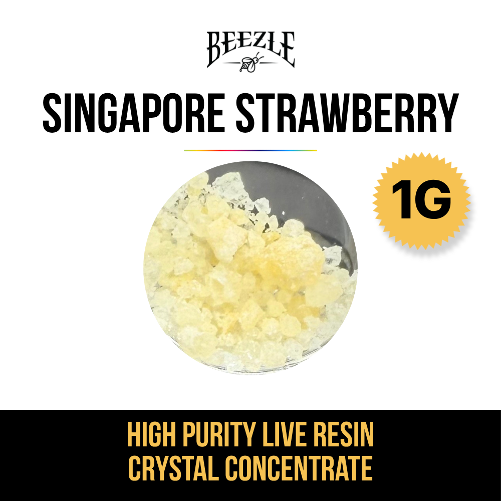 BEEZLE  SINGAPORE STRAWBERRY  THCA DIAMONDS  HYBRID