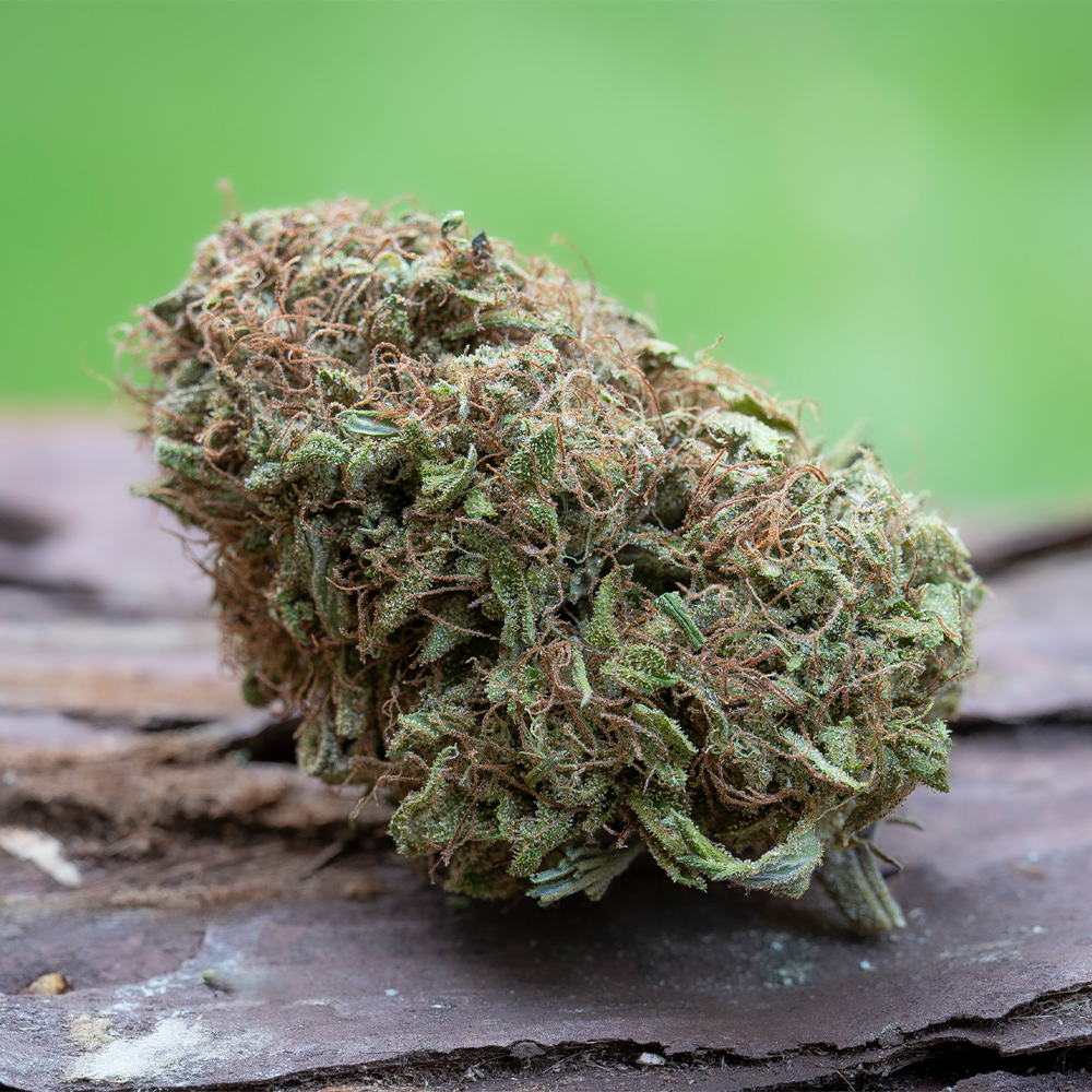 Blueberry Boost by Emerald Spirit Botanicals [7.5g]