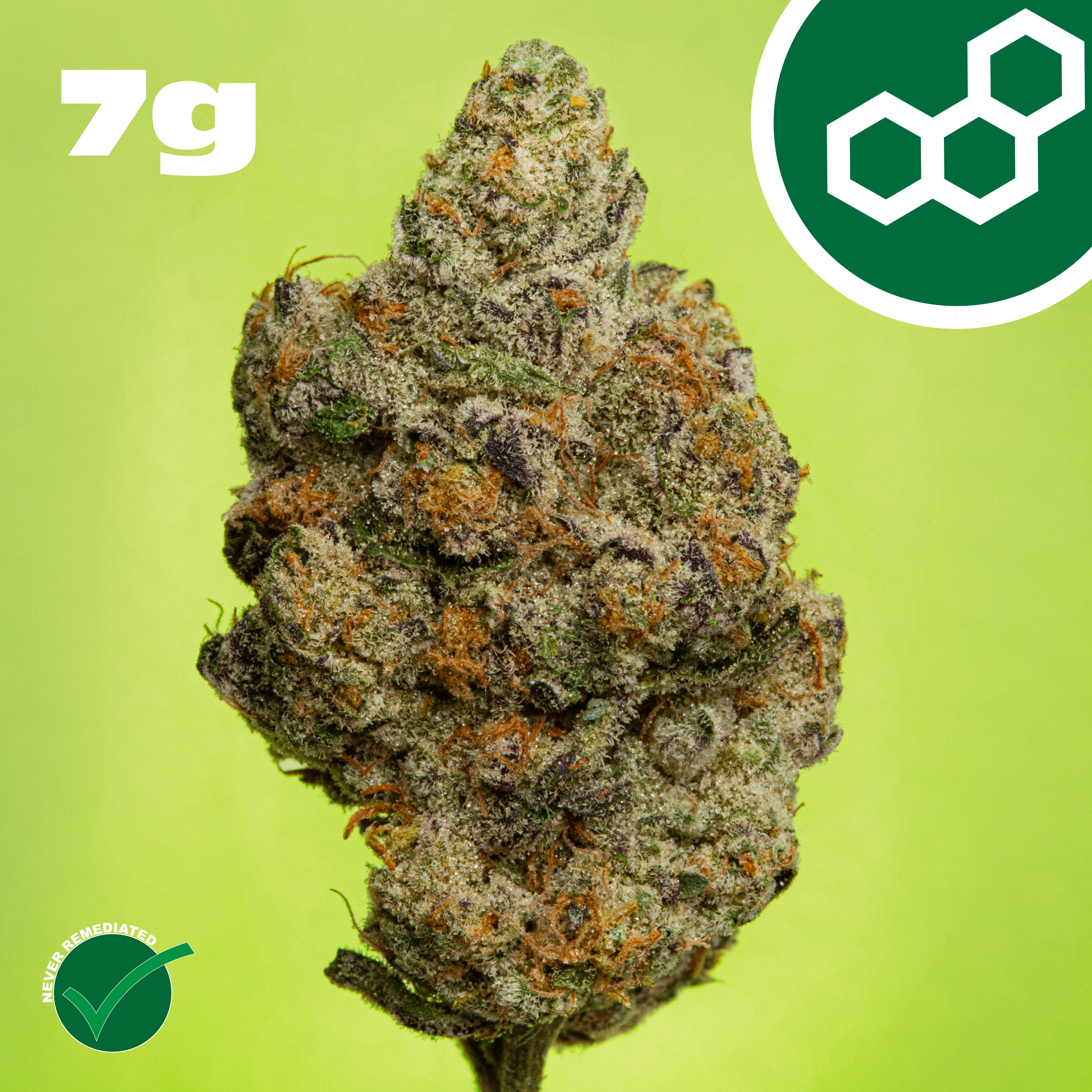 Theraplant - Carbon FBR (H) Flower  C0040001445