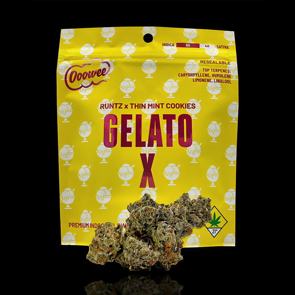 Gelato X