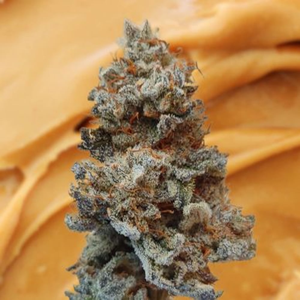 PB Crunch Mintz