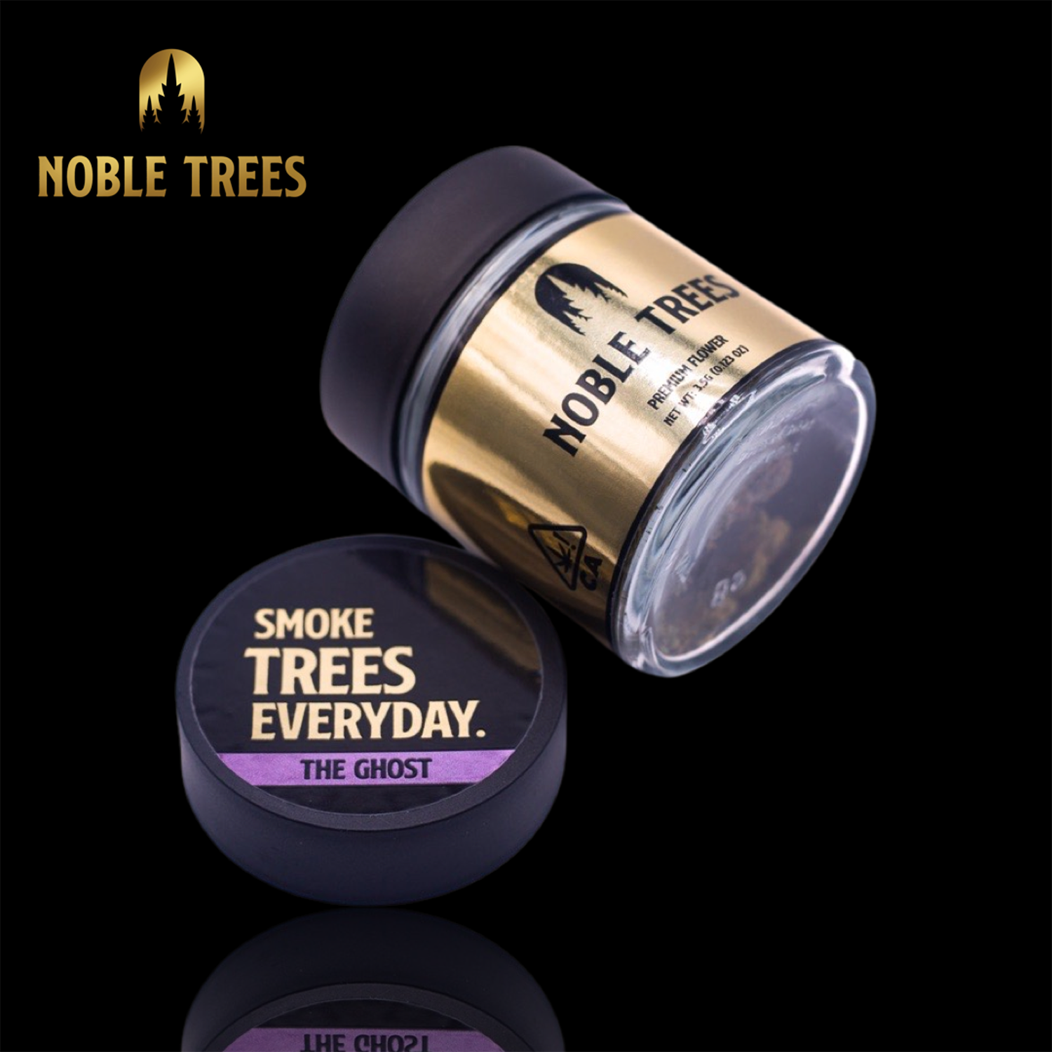 The Ghost Noble Trees Jane