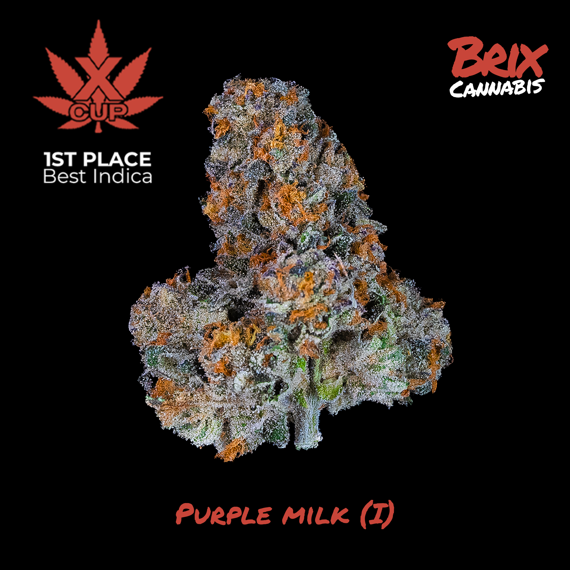 Shop BRIX Cannabis - Purple Milk (I) T27.89% Flower C0101000127
