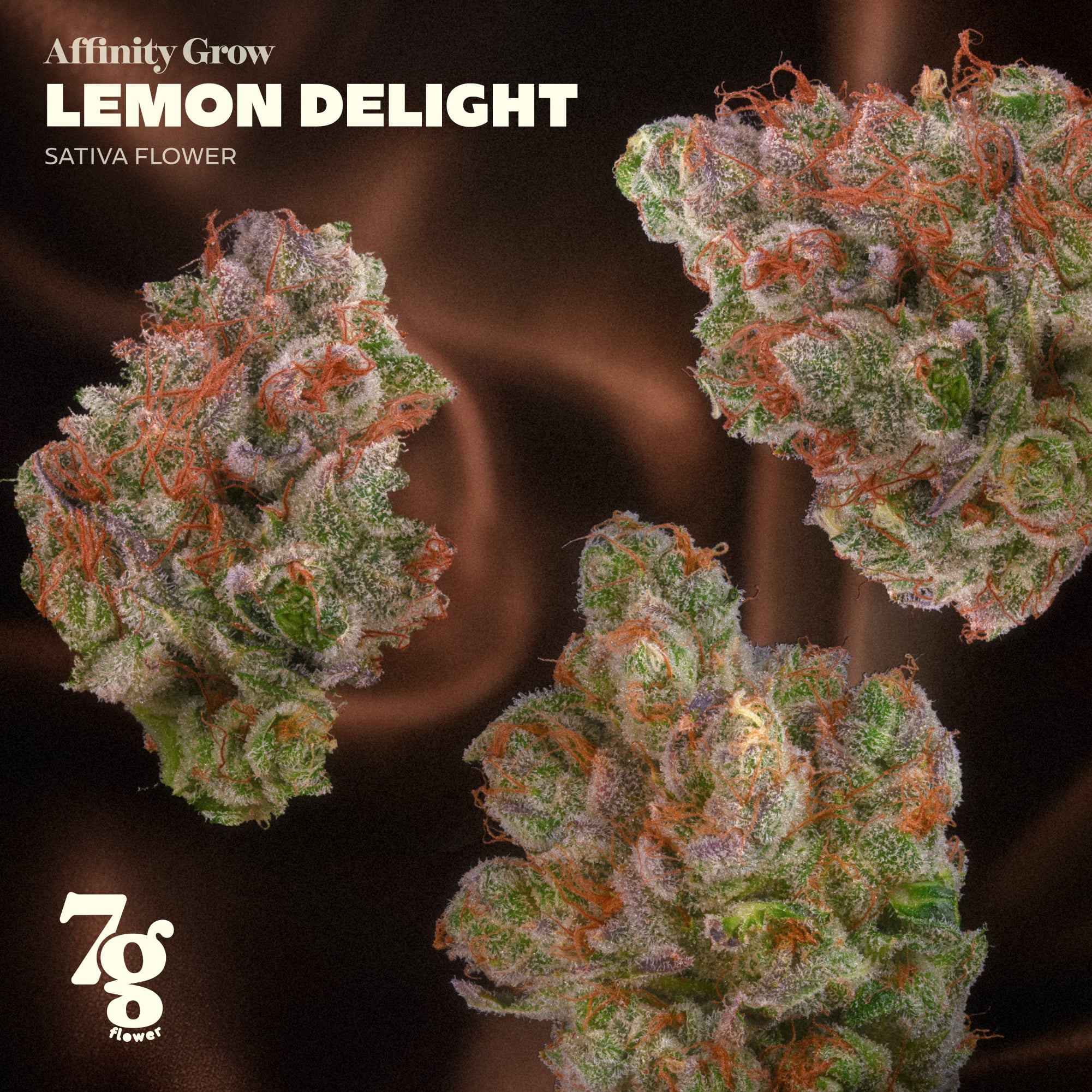 Affinity Grow - Lemon Delight (S) Flower C0090000999 Affinity Grow - Lemon Delight (S) Flower C0090000999