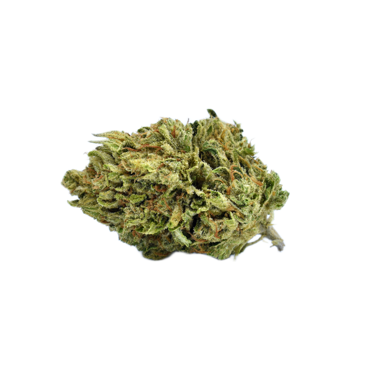 Josephine Og