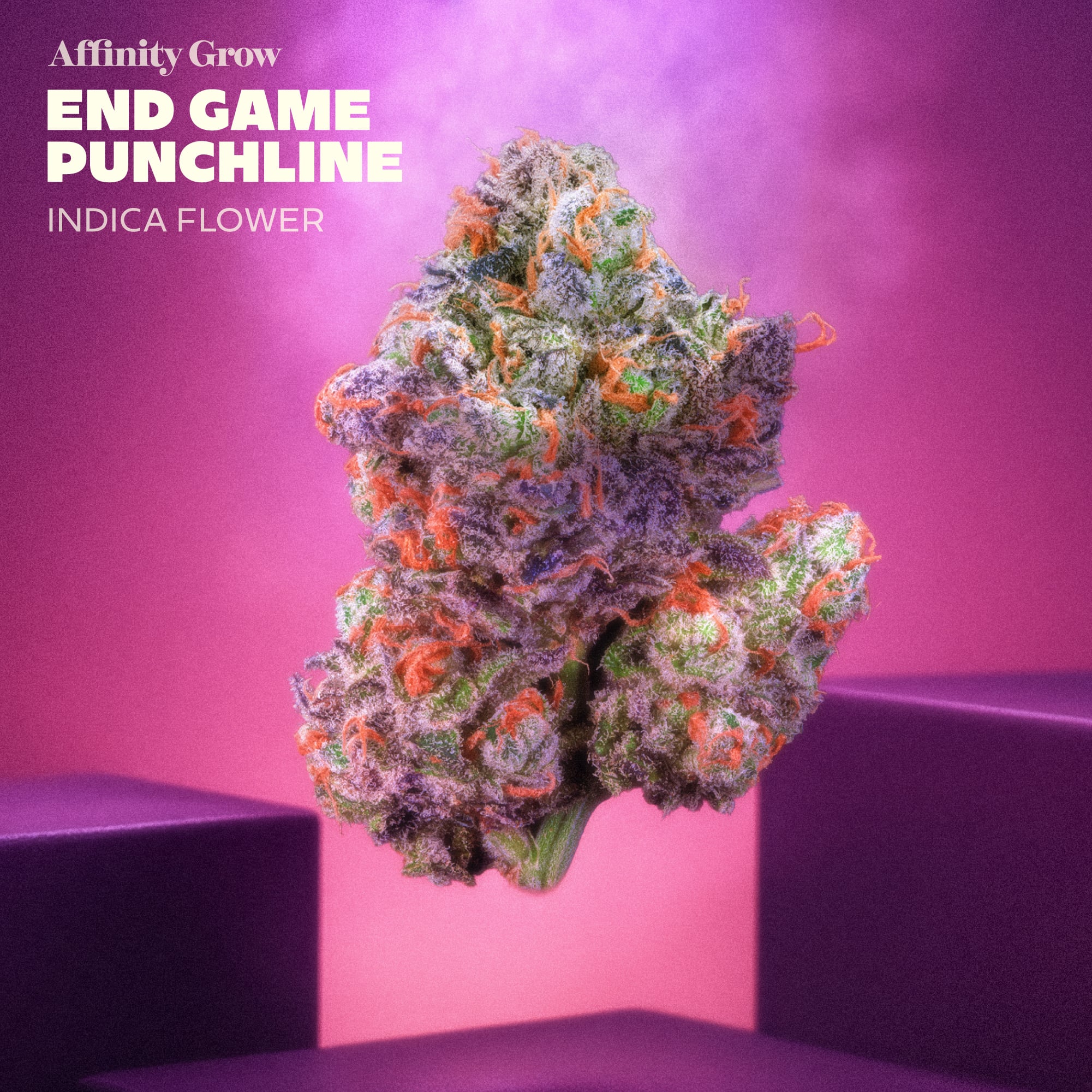Affinity Grow - Endgame Punchline (I) Flower  C0090000895
