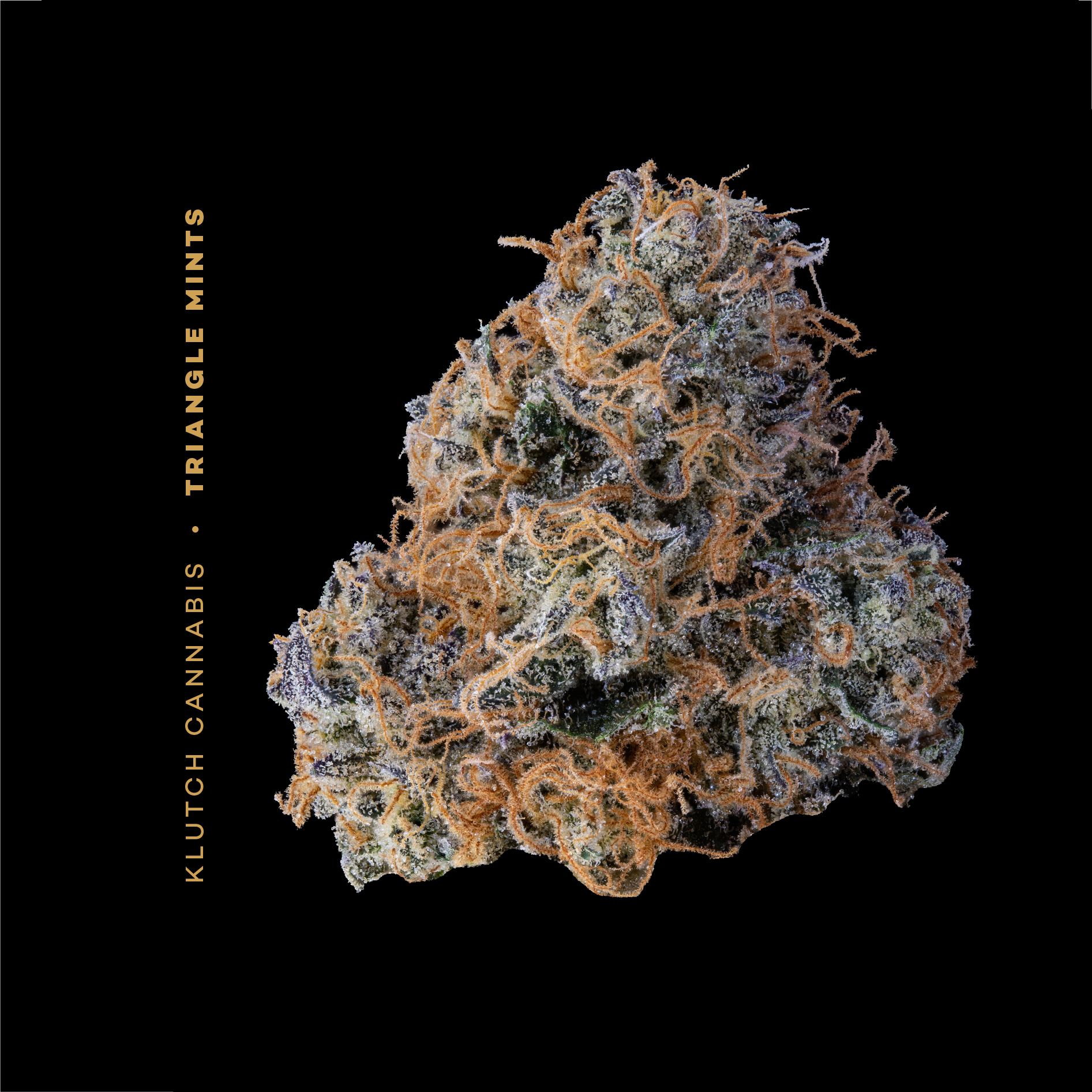 Triangle Mints [8.49g] Klutch Cannabis Jane