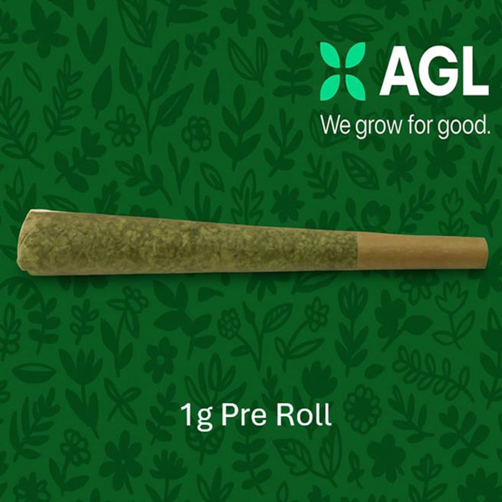 AGL - Slapz (H) 1g Pre-Roll 1pk (1g) C0010001501