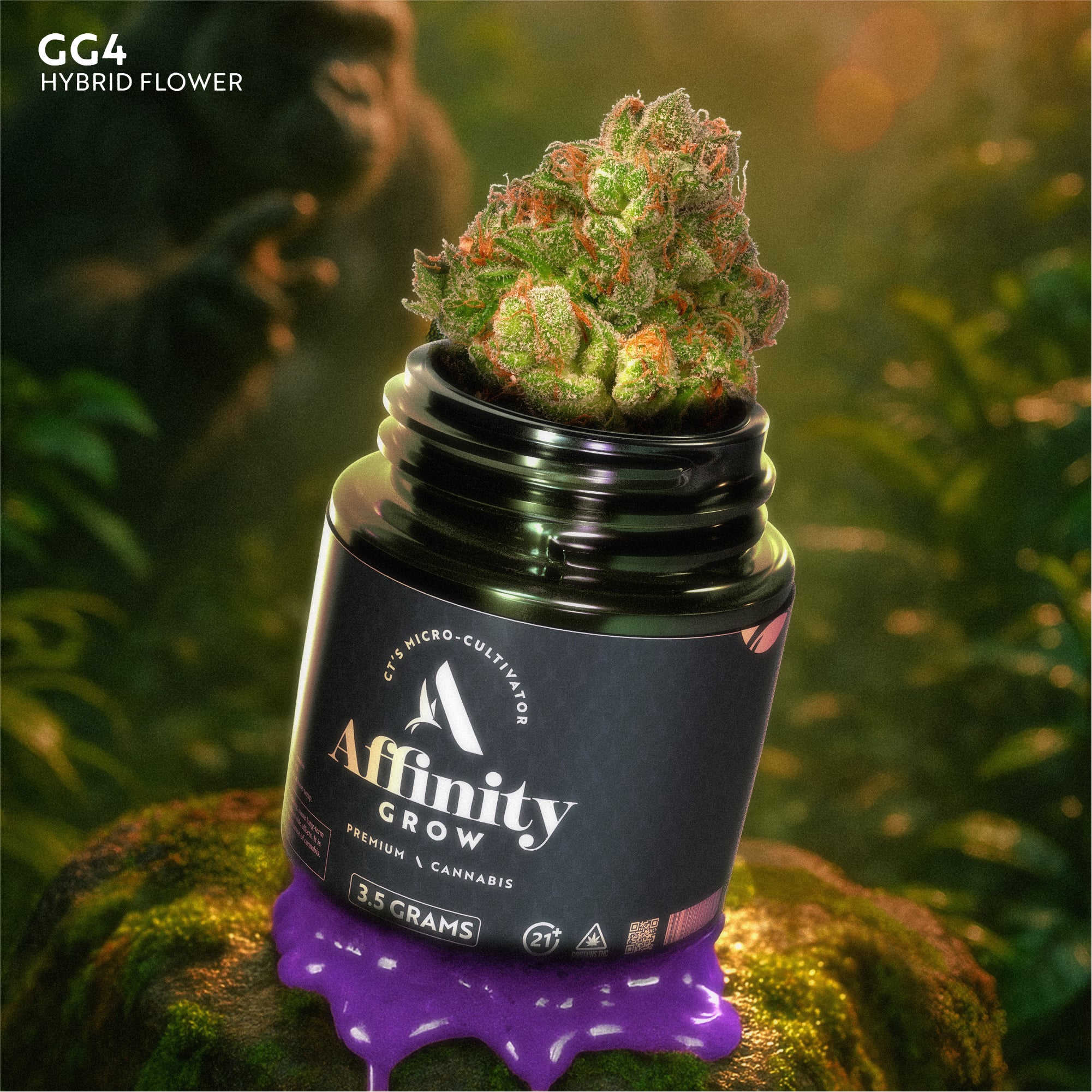 GG4 Whole Flower | T20.48 | 00540 | 3.5g