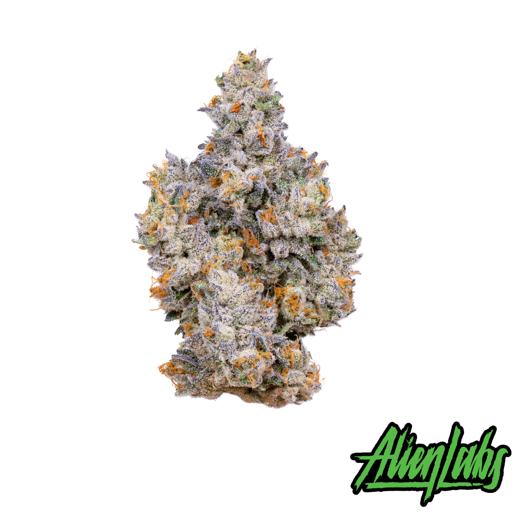 Shop Gemini | Insa - Newtown Square Dispensary Newton Square, PA