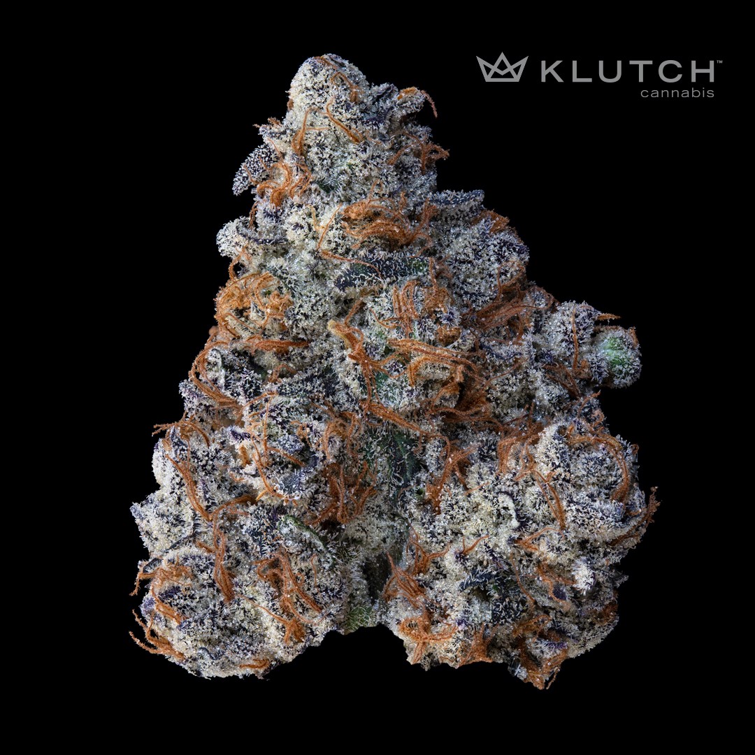 Pineapple PZ [2.83g] | Klutch Cannabis - Jane