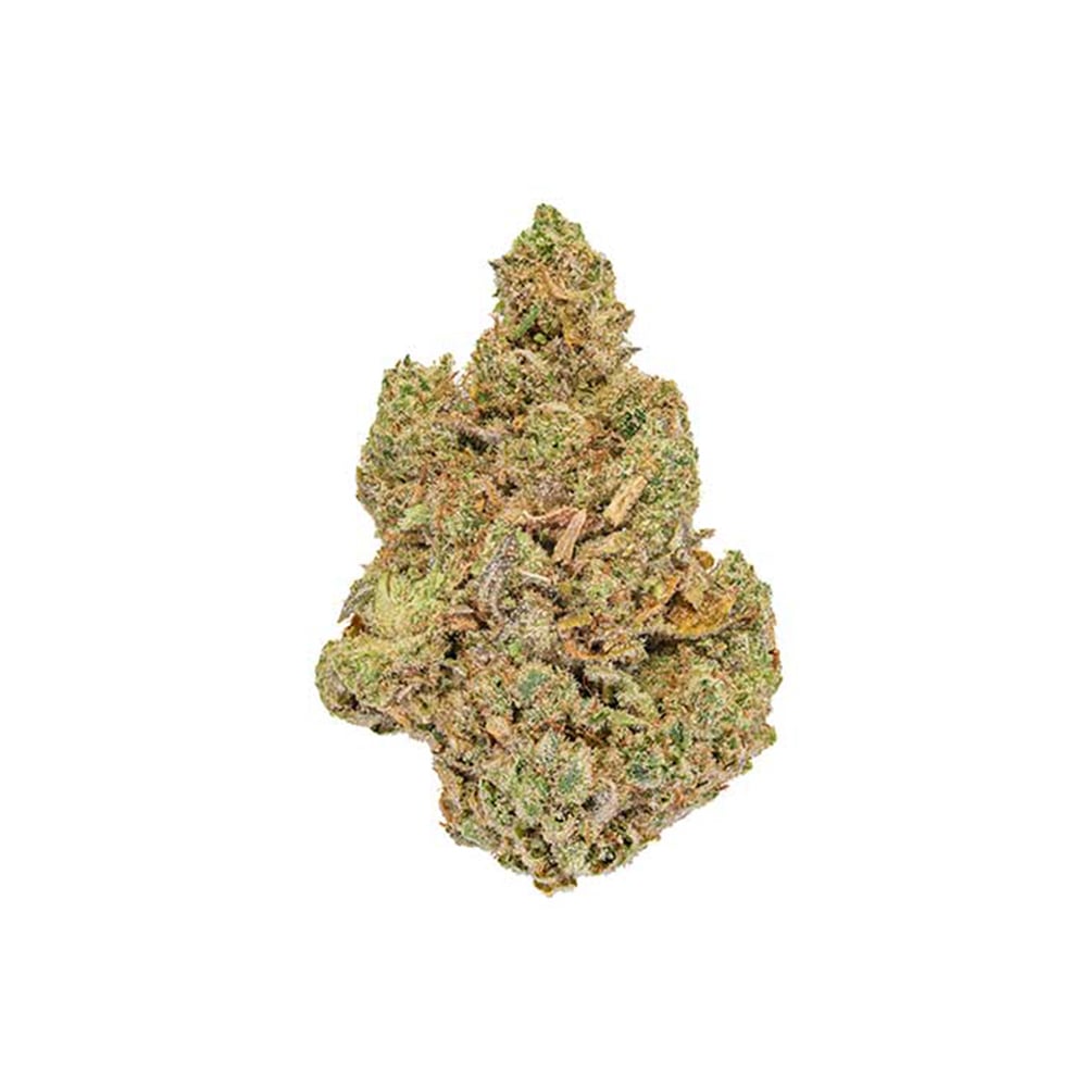 GG#4
