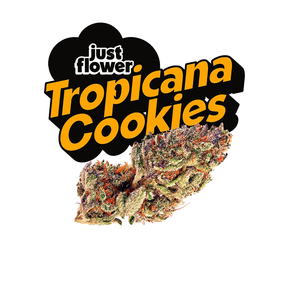 Tropicana Cookies x Cherry Cookies - hybrid flower by Just Flower